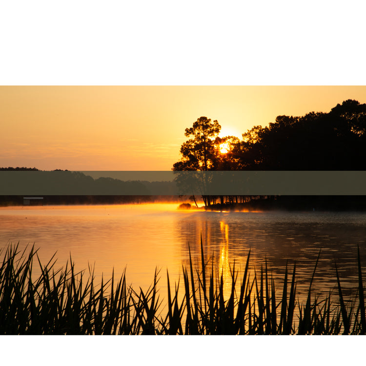 Hunting Fishing and Ranch