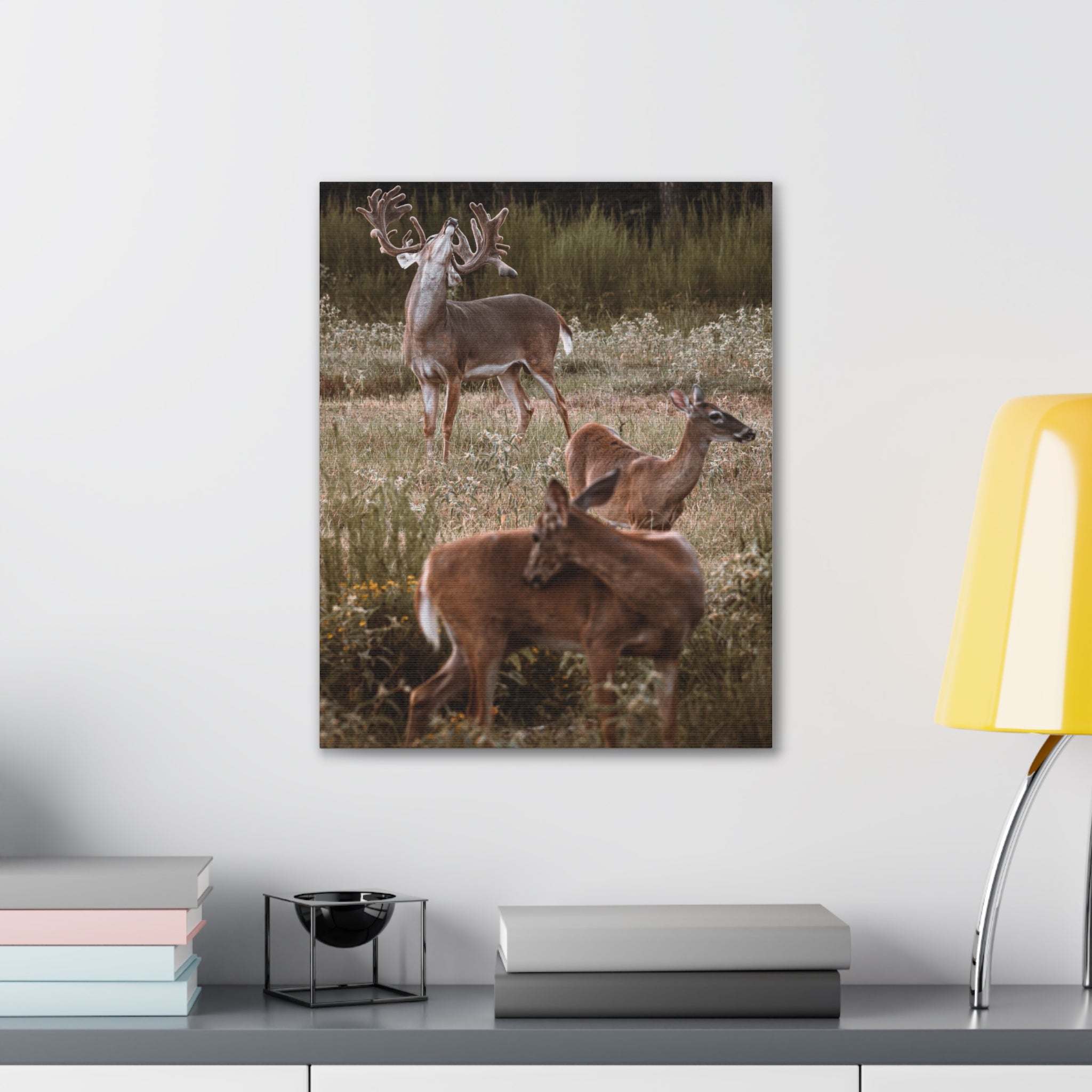 Canvas of Majestic Buck with Whitetail Does