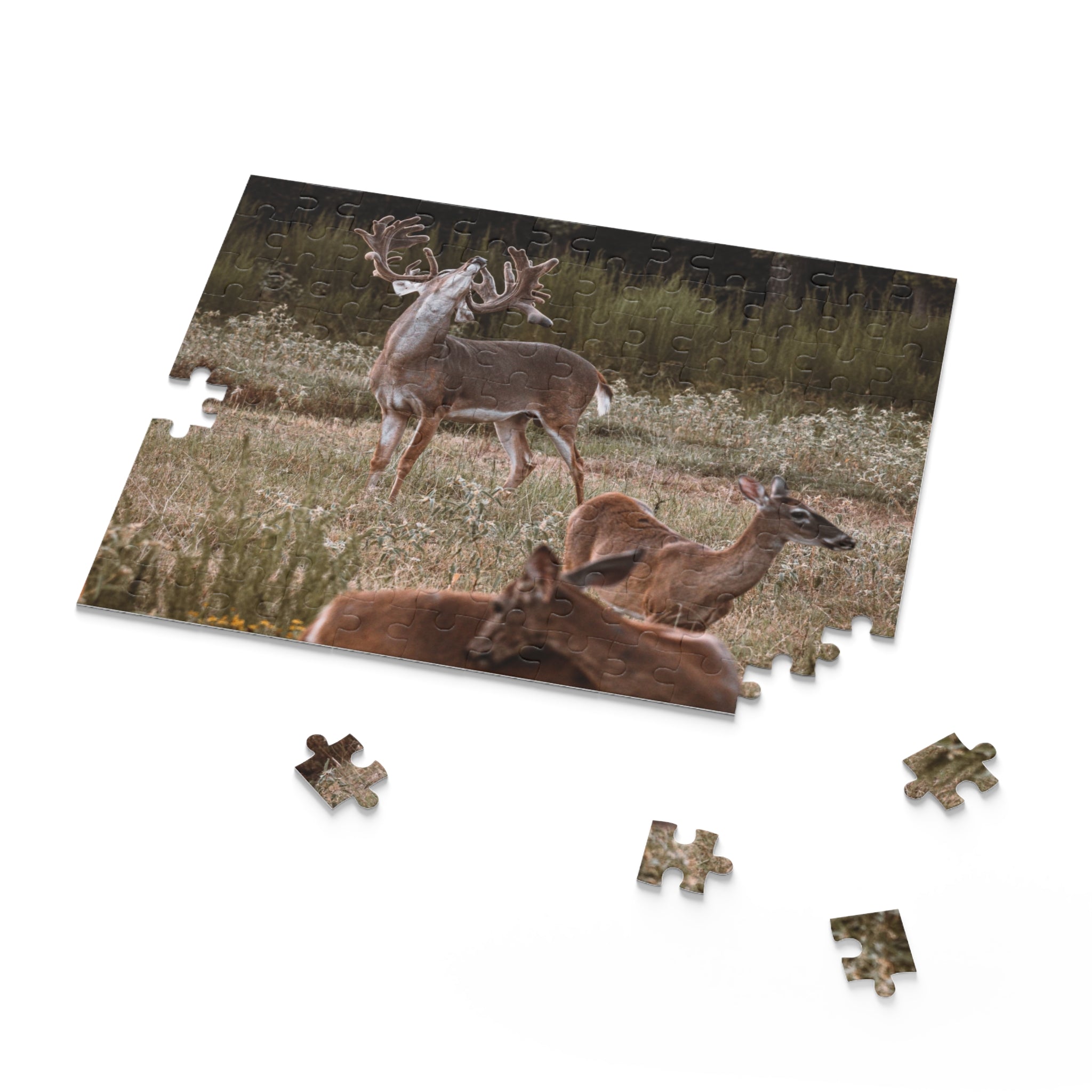 Puzzle (120, 252, 500-Piece)