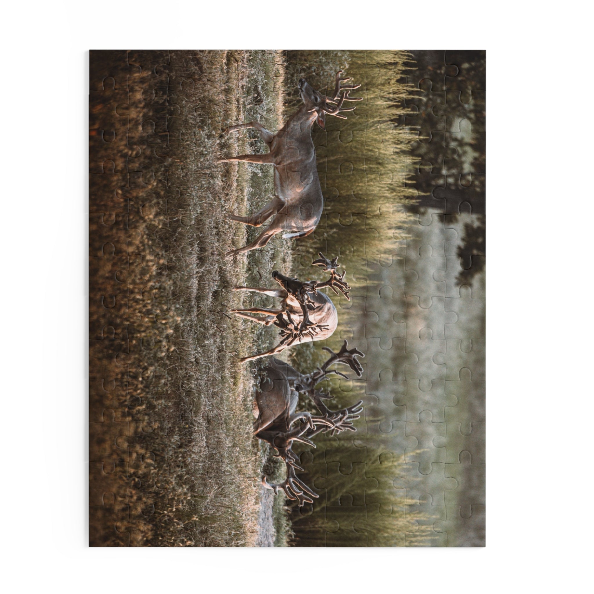 Monsters in a Meadow Puzzle (120, 252, 500-Piece)