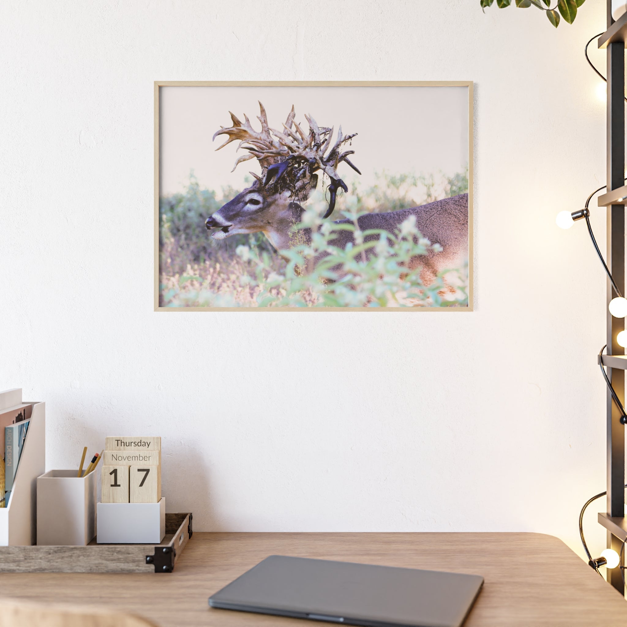 Framed Print of 'Freaknasty'