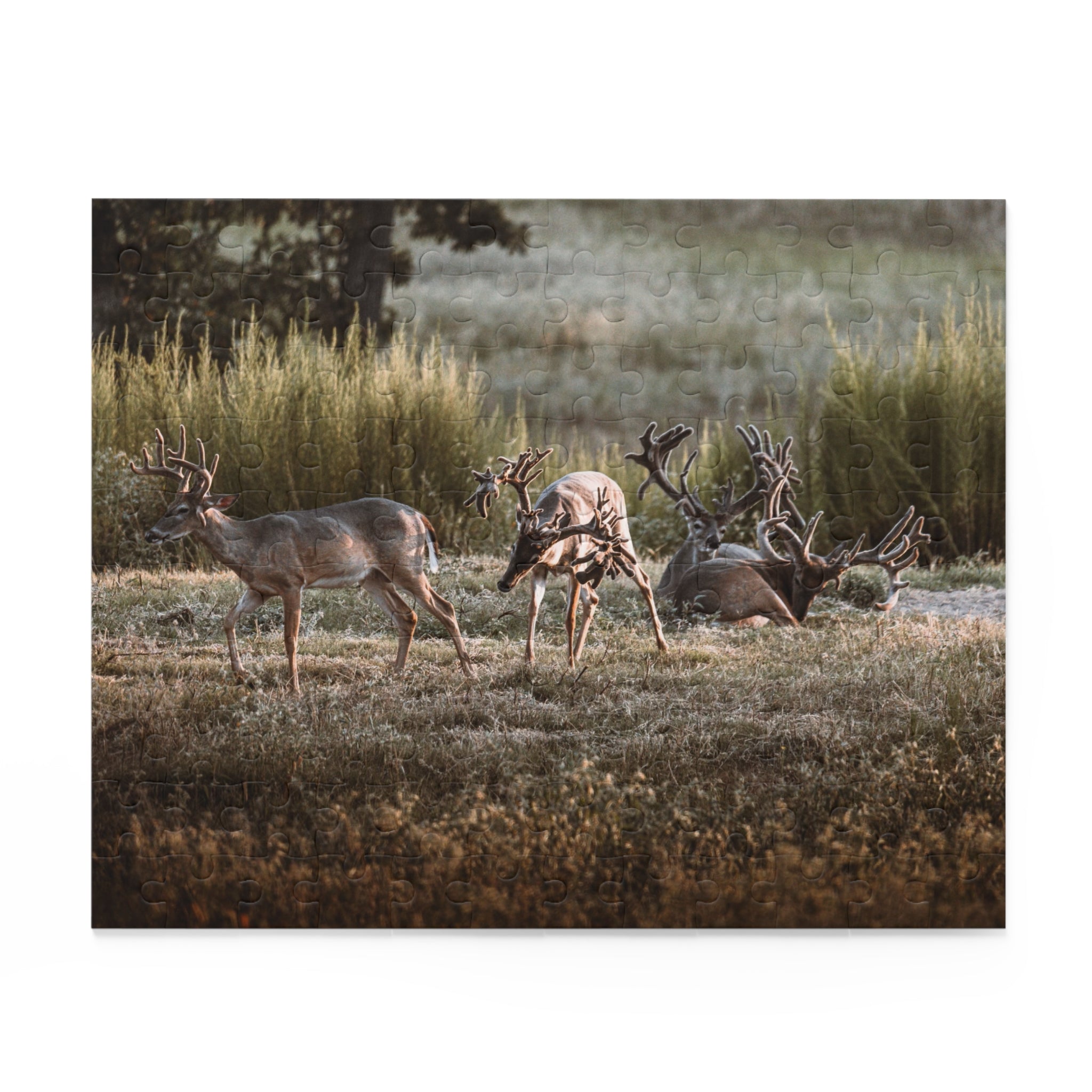 Monsters in a Meadow Puzzle (120, 252, 500-Piece)