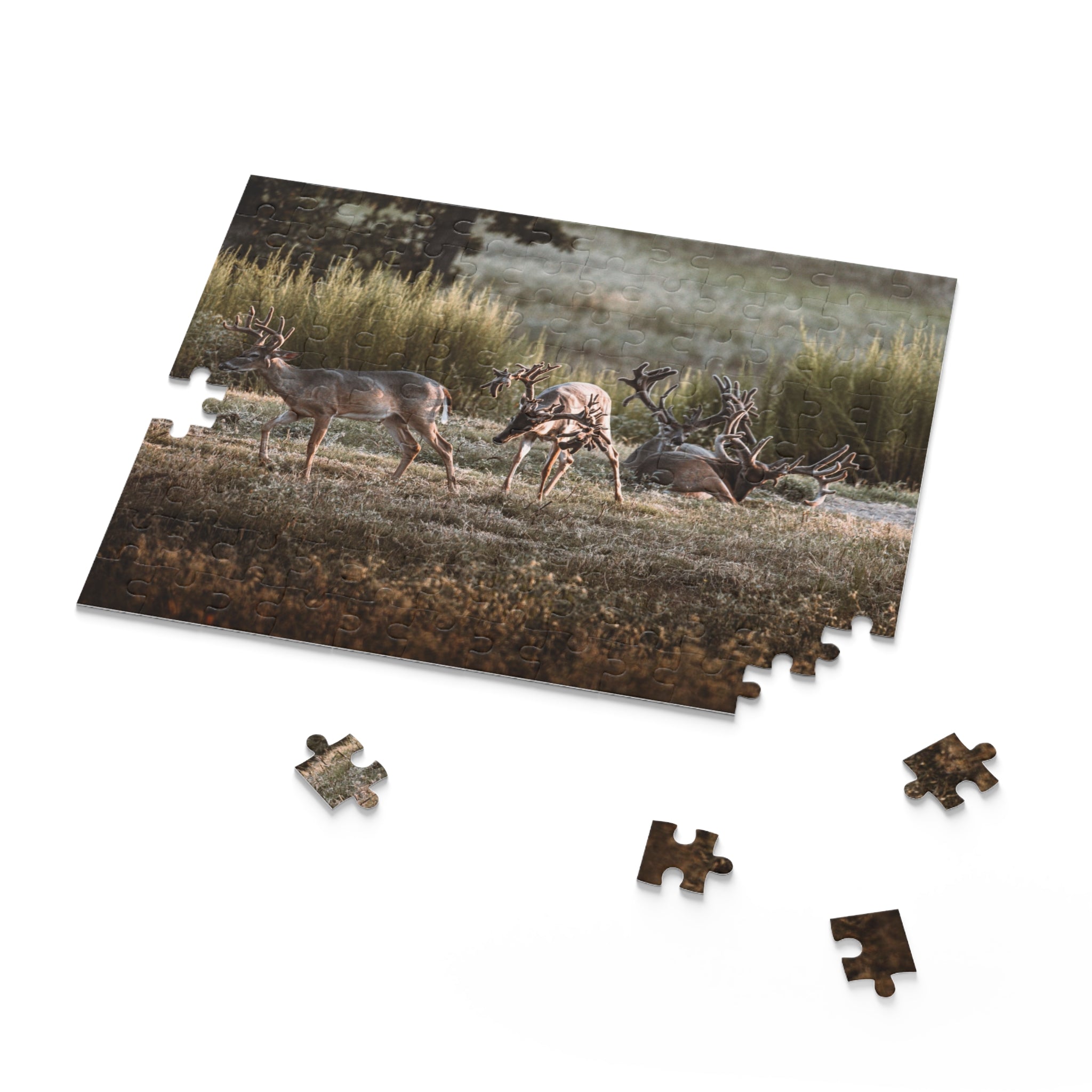 Monsters in a Meadow Puzzle (120, 252, 500-Piece)