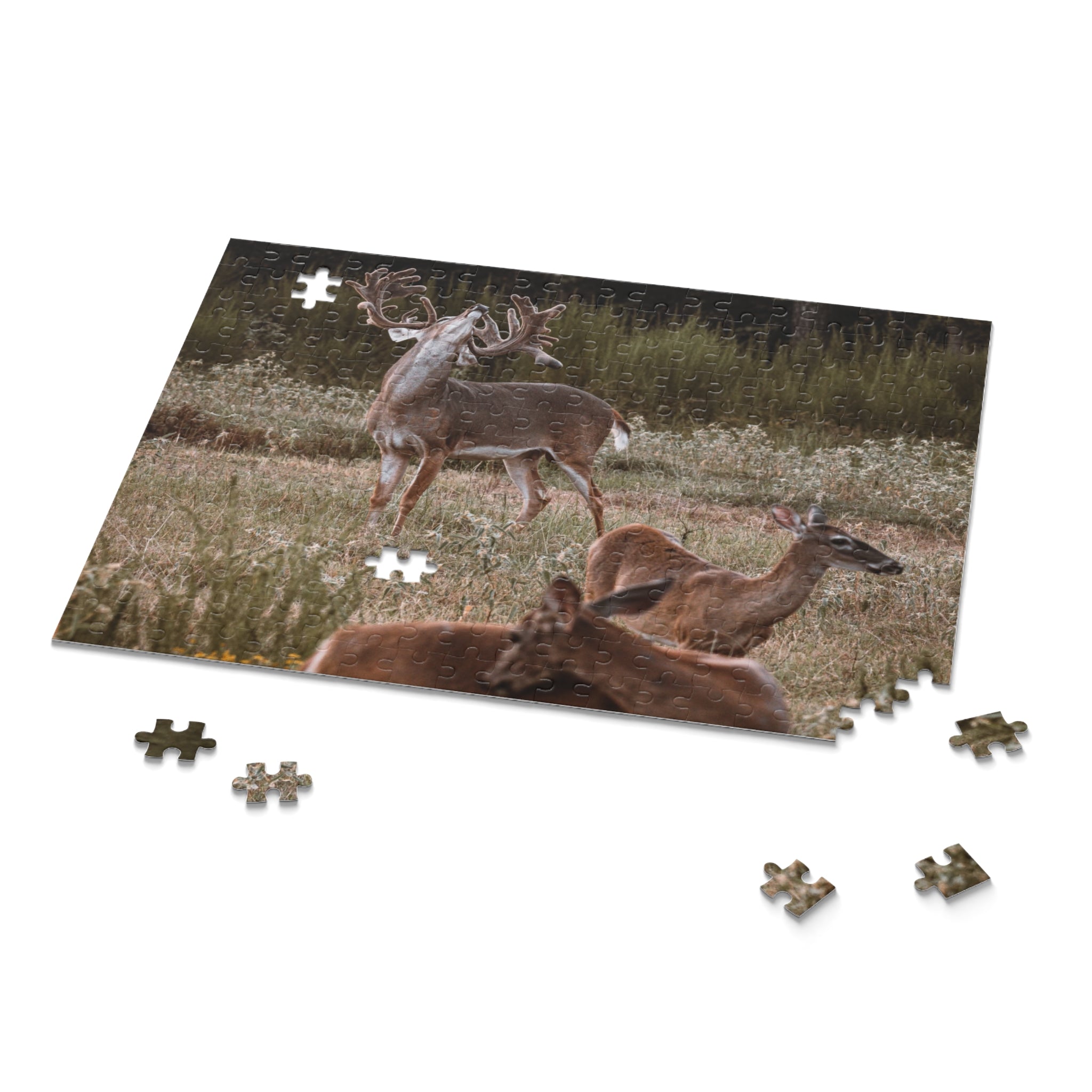 Puzzle (120, 252, 500-Piece)