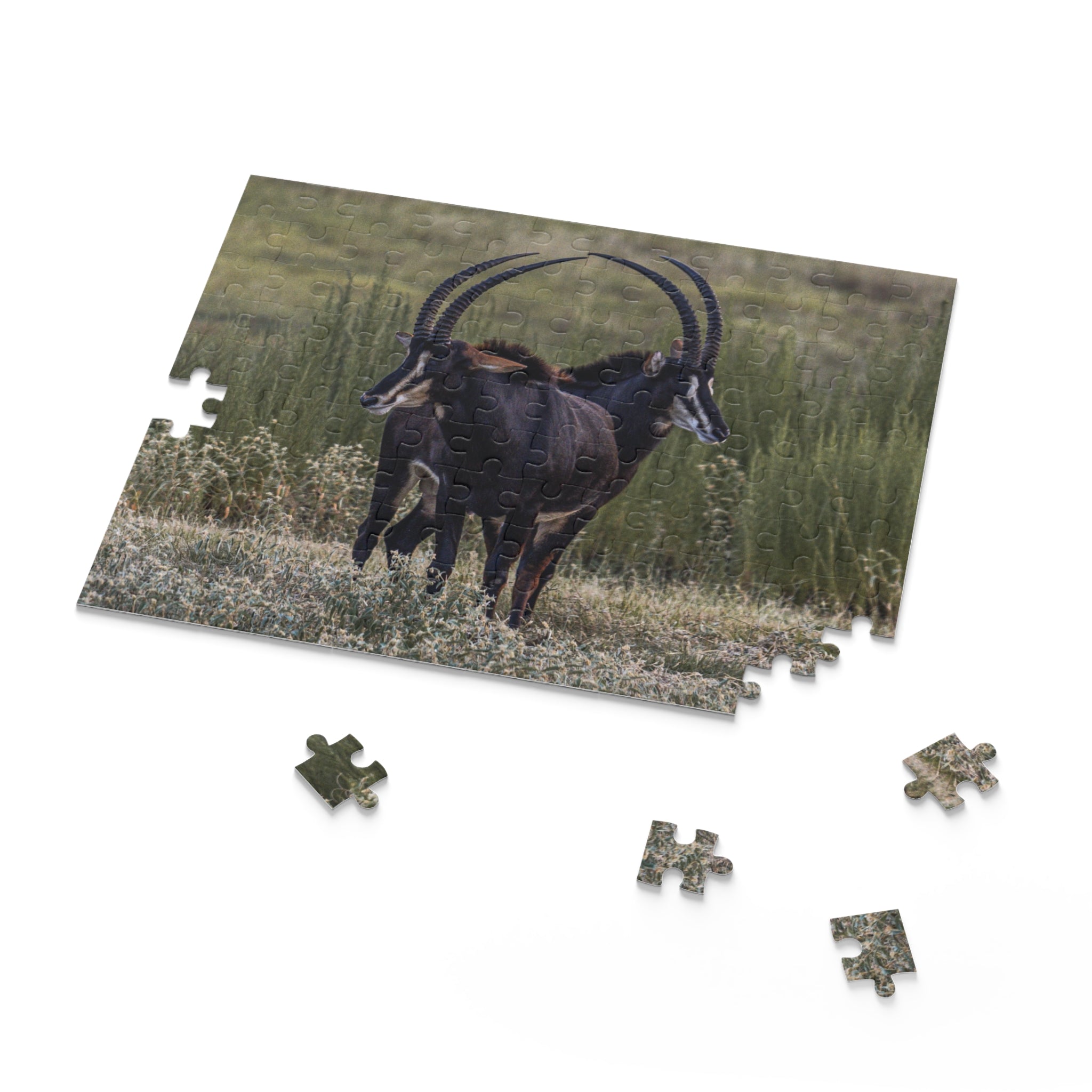 Copy of Puzzle (120, 252, 500-Piece)