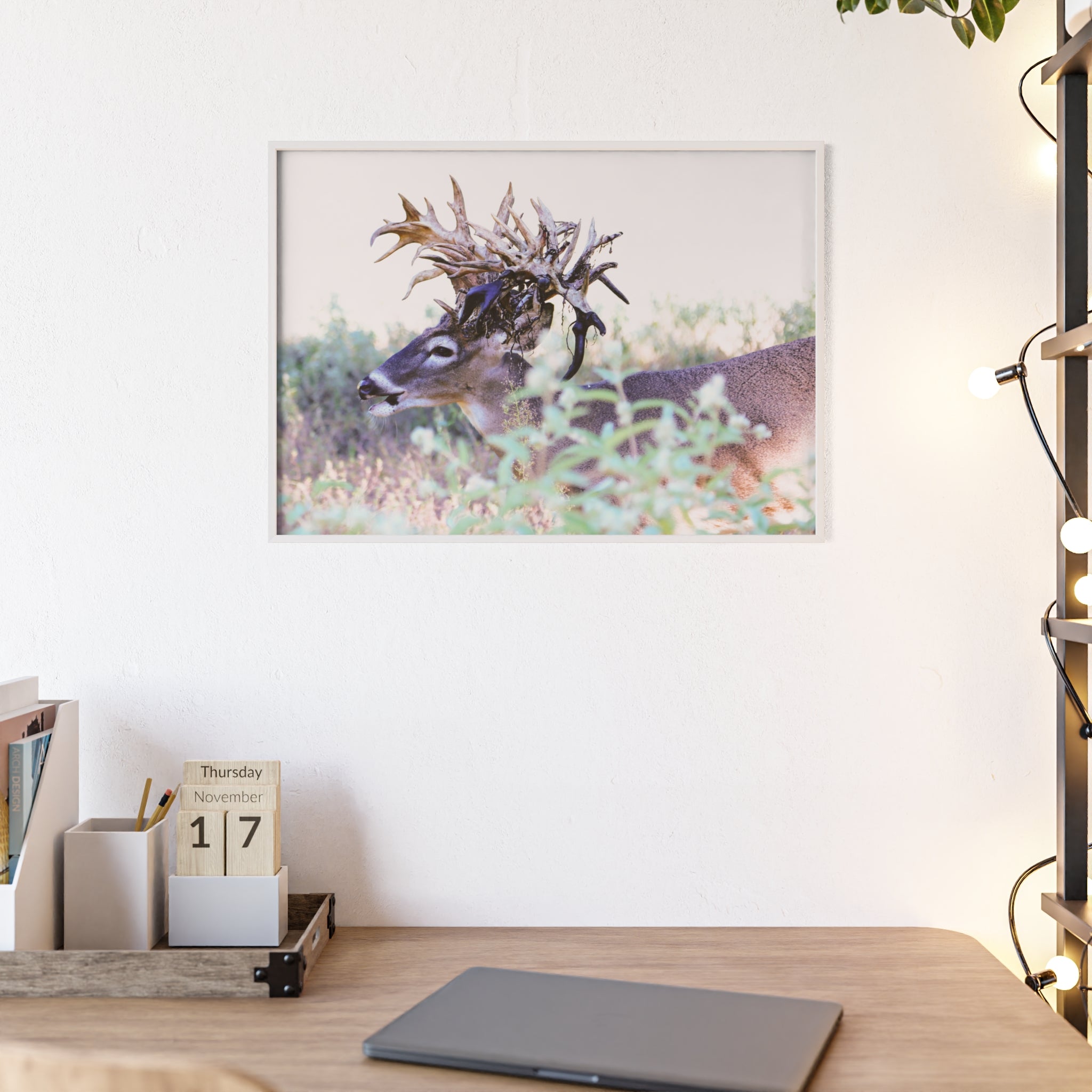 Framed Print of 'Freaknasty'