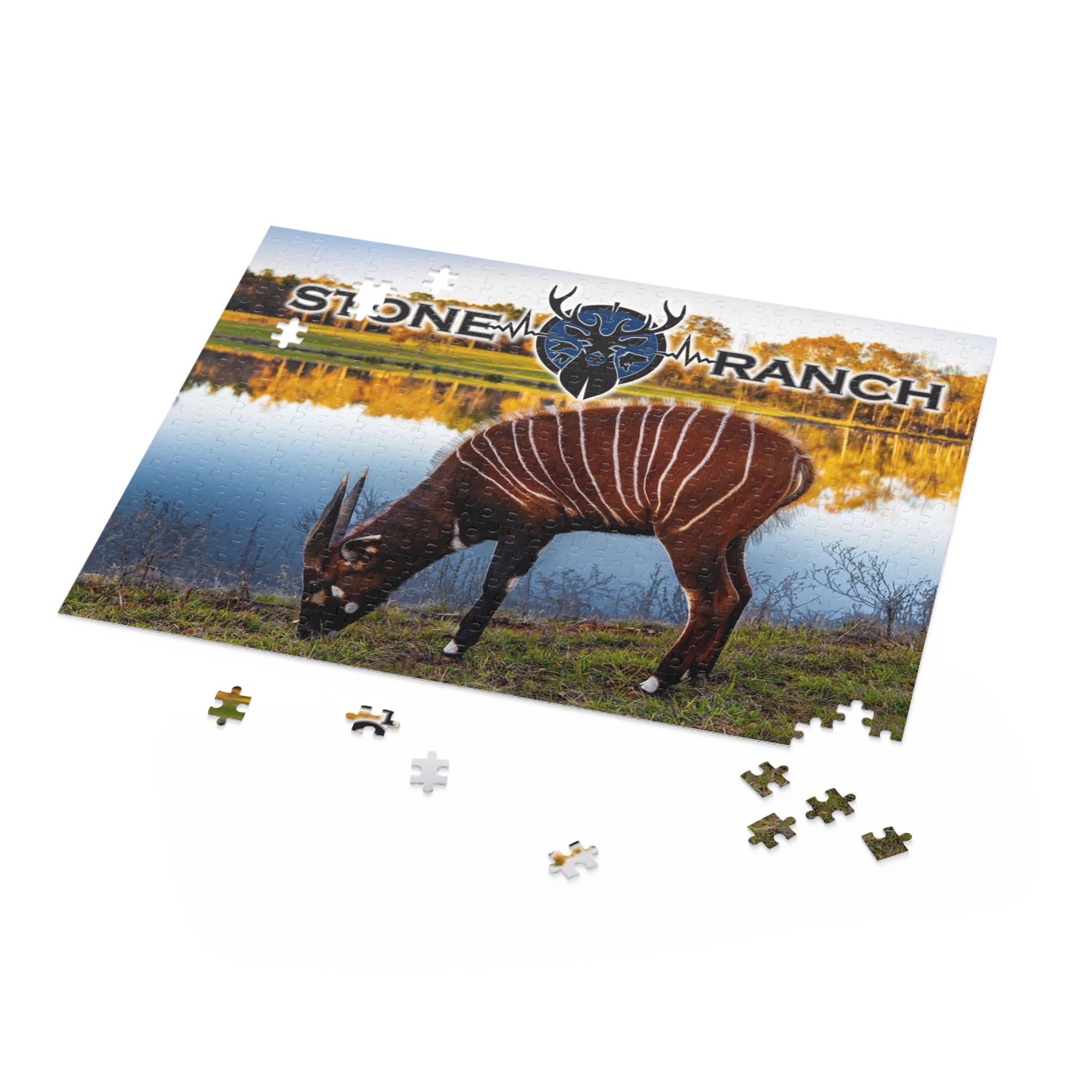 Puzzle of Stone Ranch