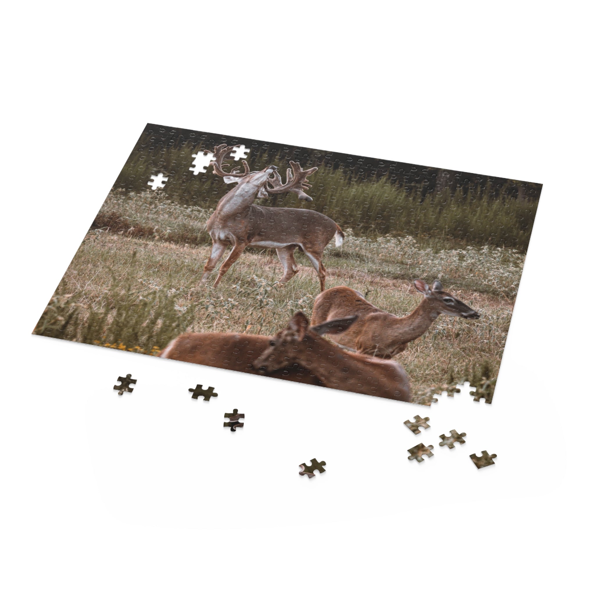 Puzzle (120, 252, 500-Piece)