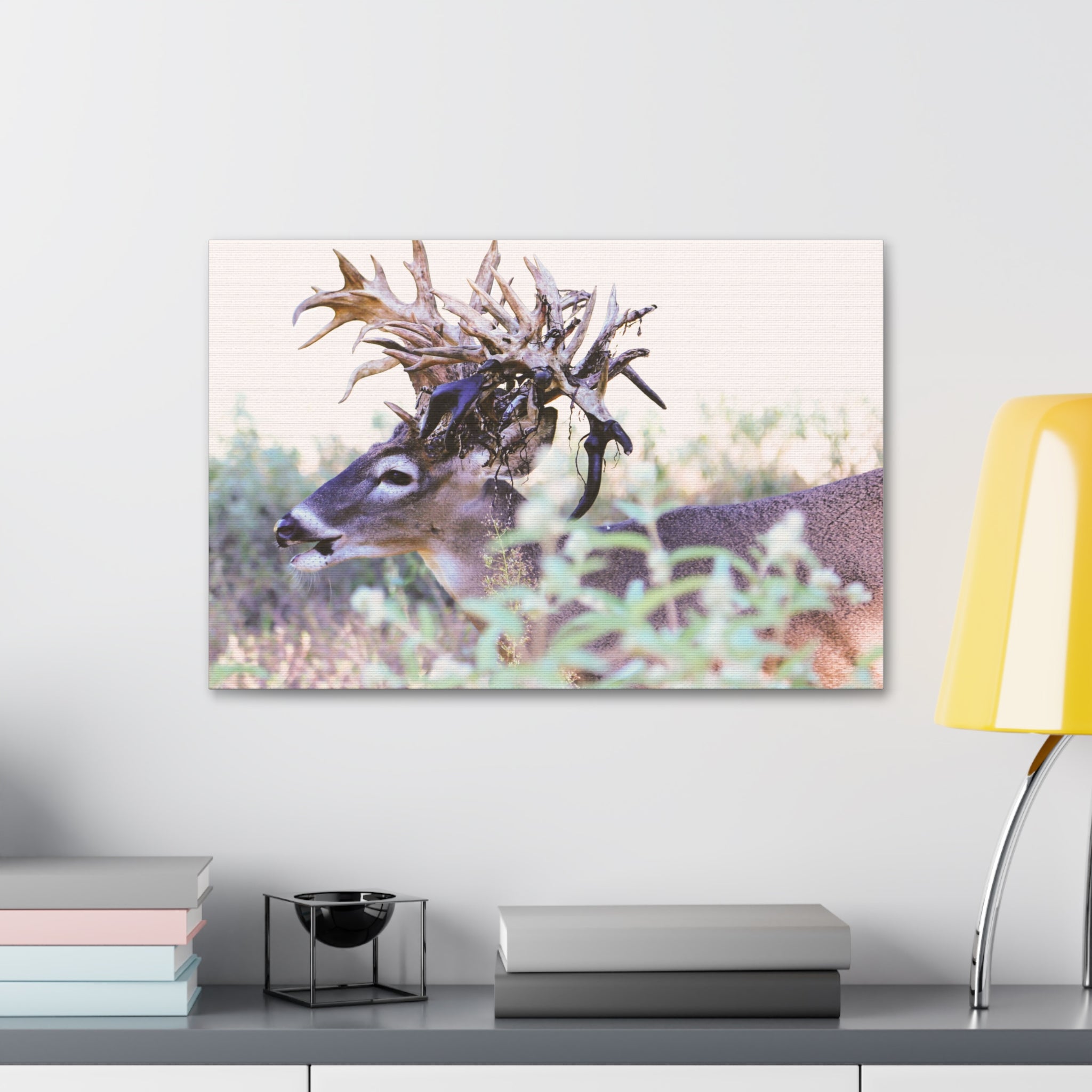 Canvas Print Of ‘Freaknasty’