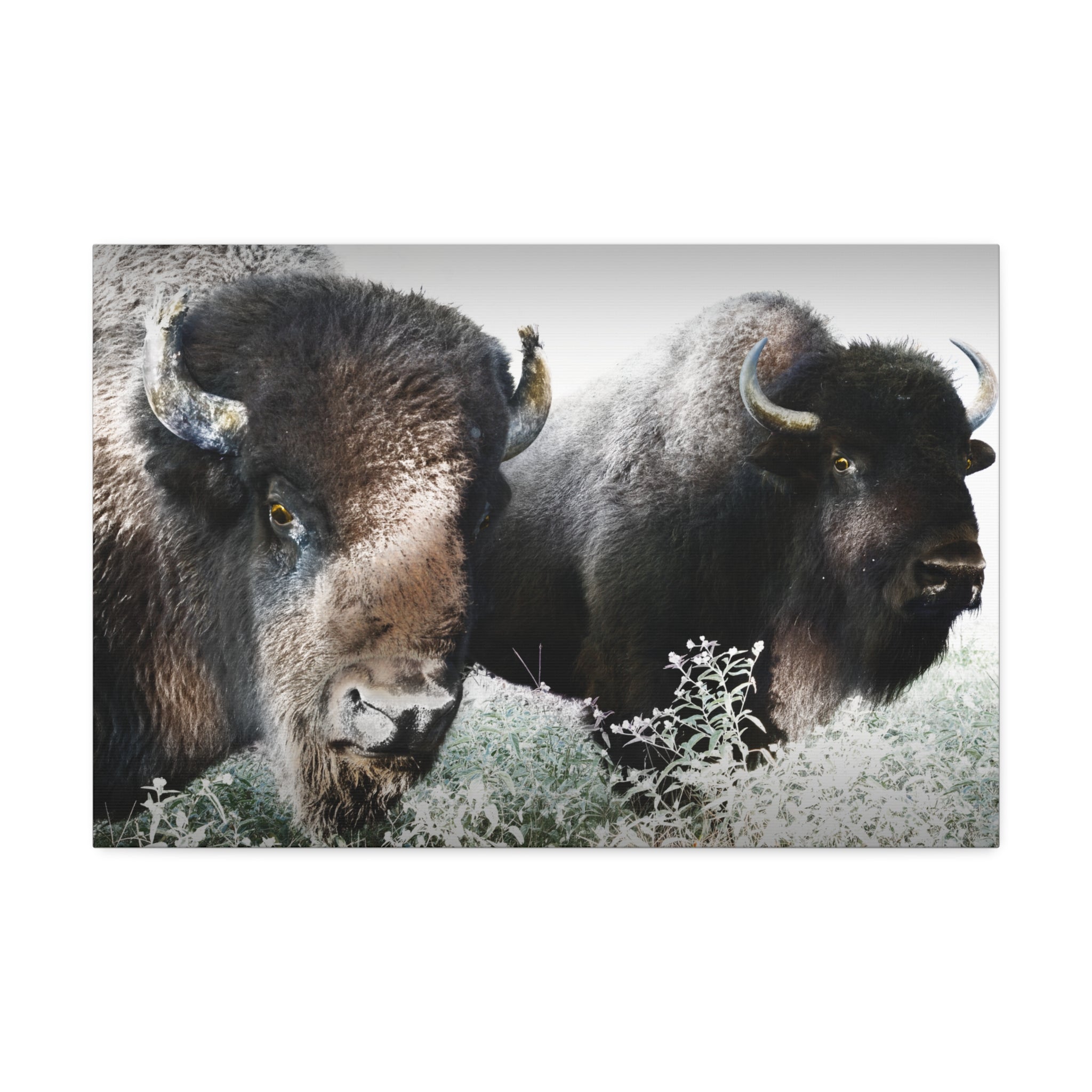 Canvas Print Of Romeo and Juliet