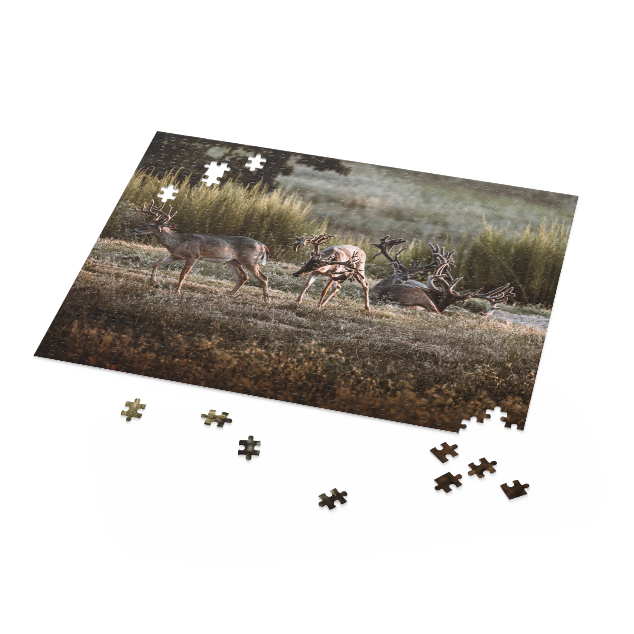 Monsters in a Meadow Puzzle (120, 252, 500-Piece)