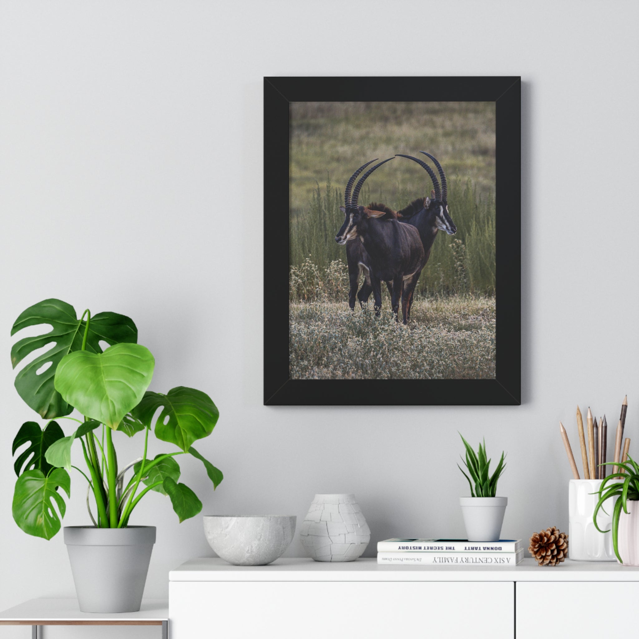 Framed print of Sables Heart