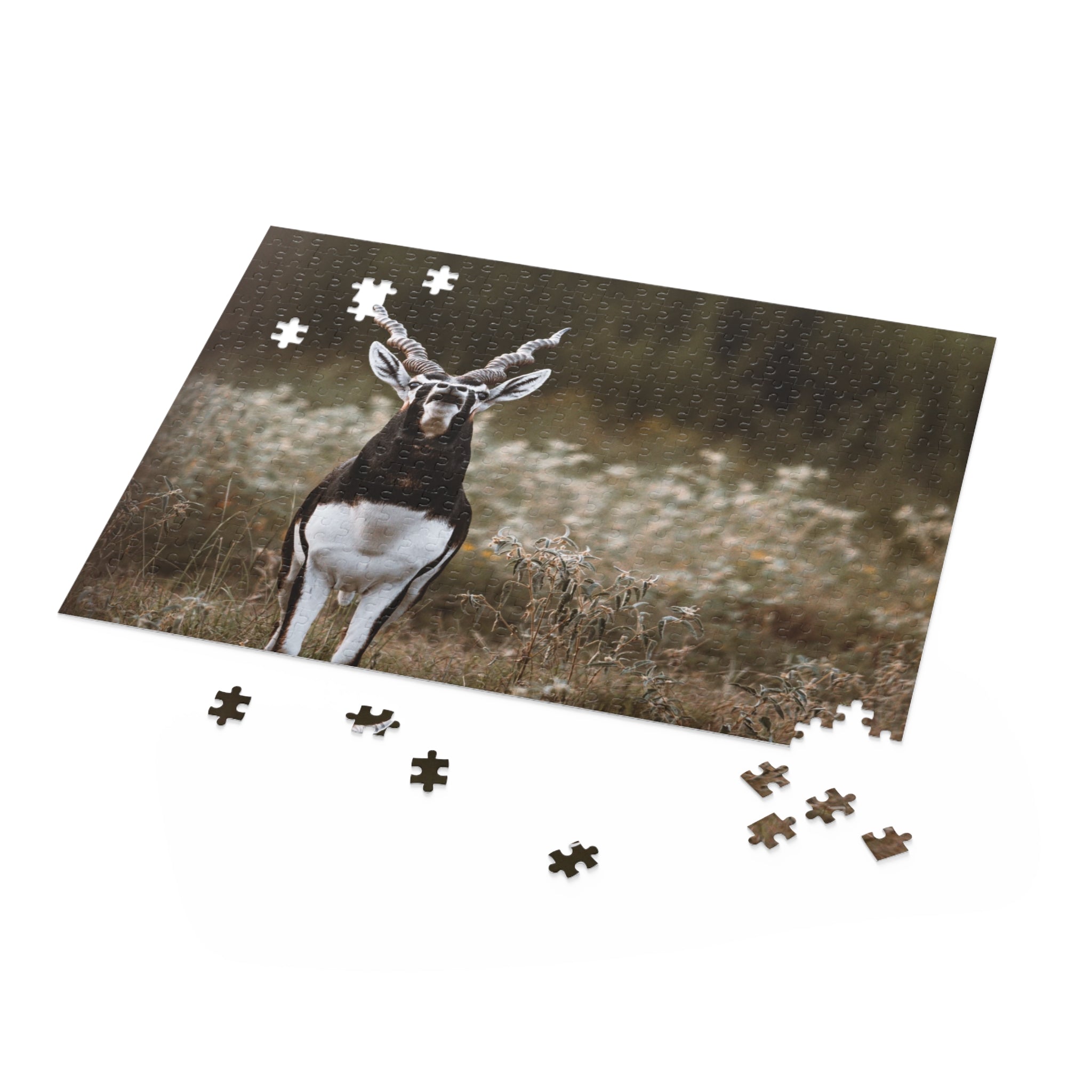 Copy of Puzzle (120, 252, 500-Piece)