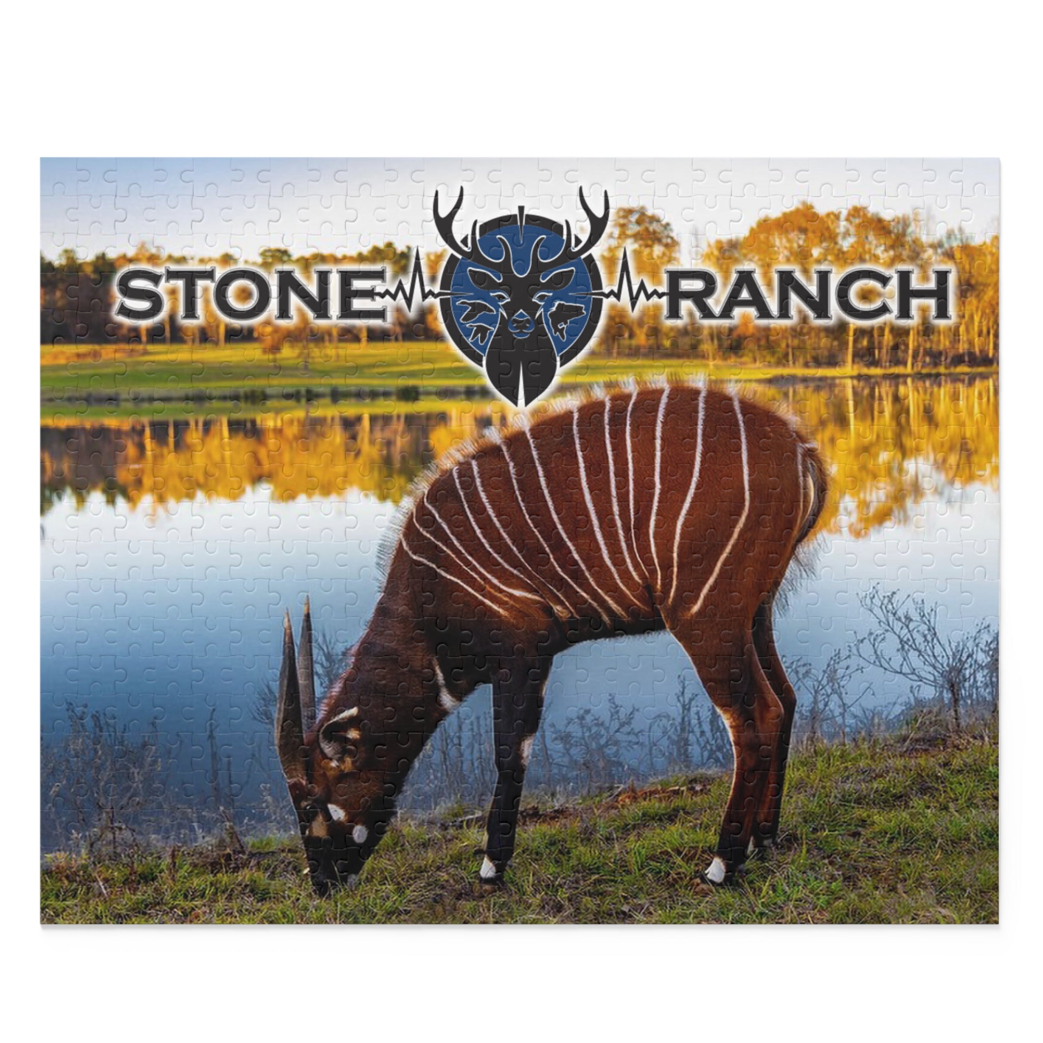 Puzzle of Stone Ranch