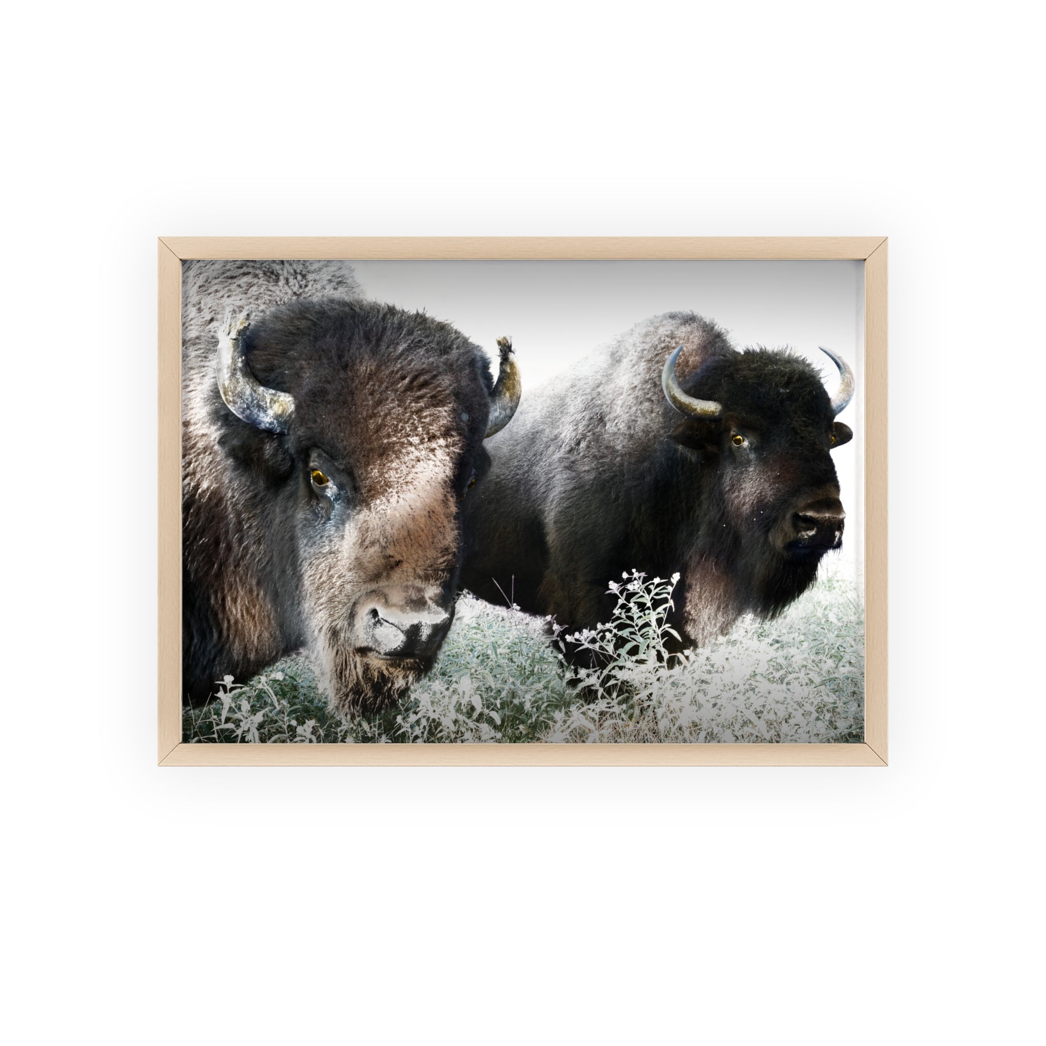 Framed Print of Romeo and Juliet