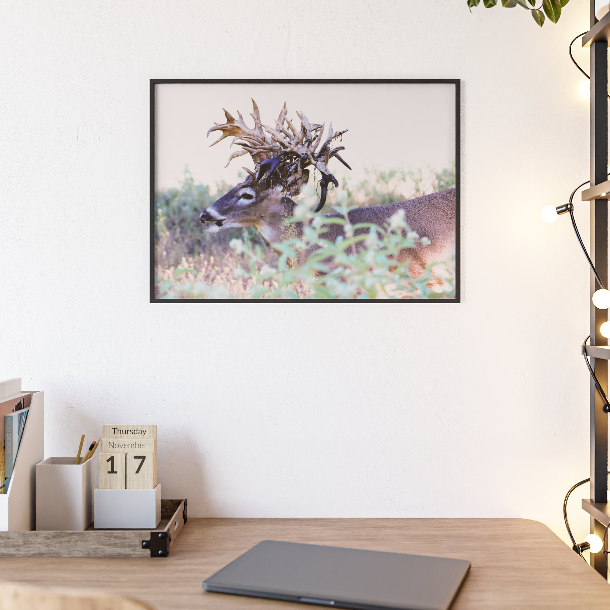 Framed Print of 'Freaknasty'