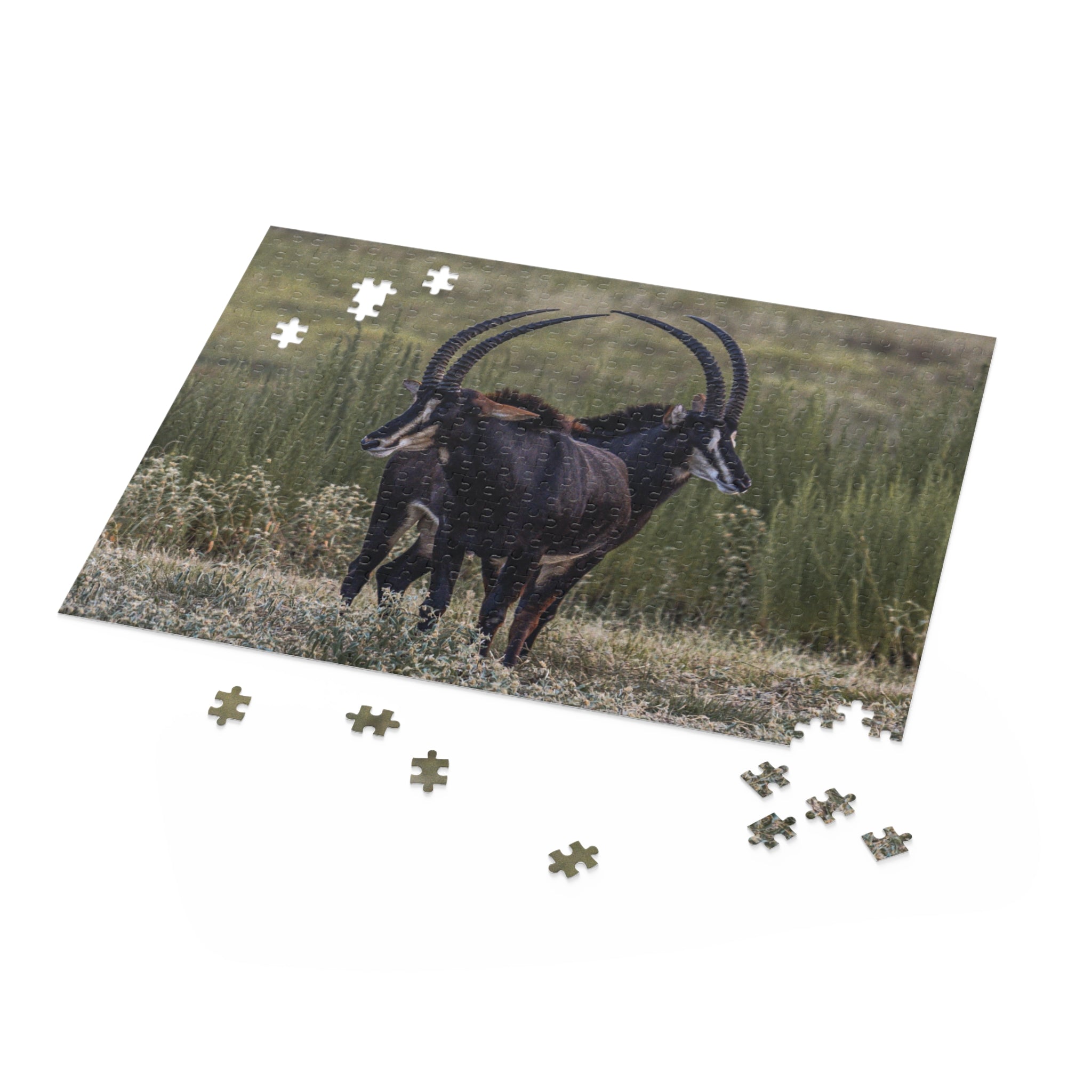 Puzzle of Sables Heart