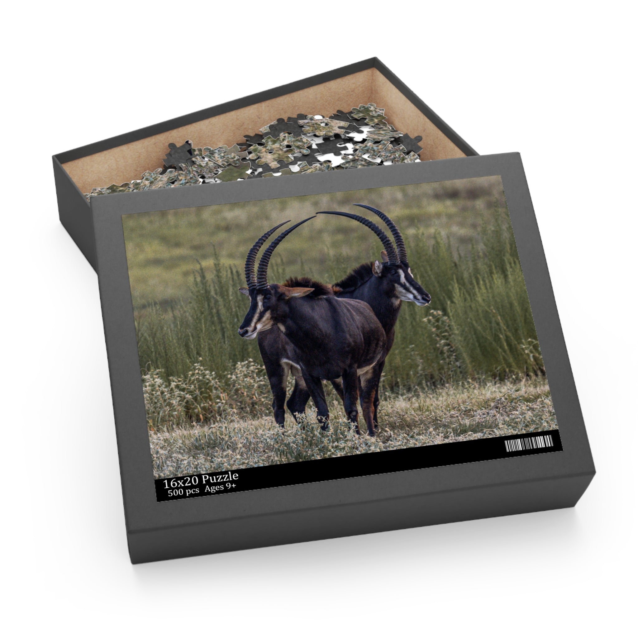 Puzzle of Sables Heart