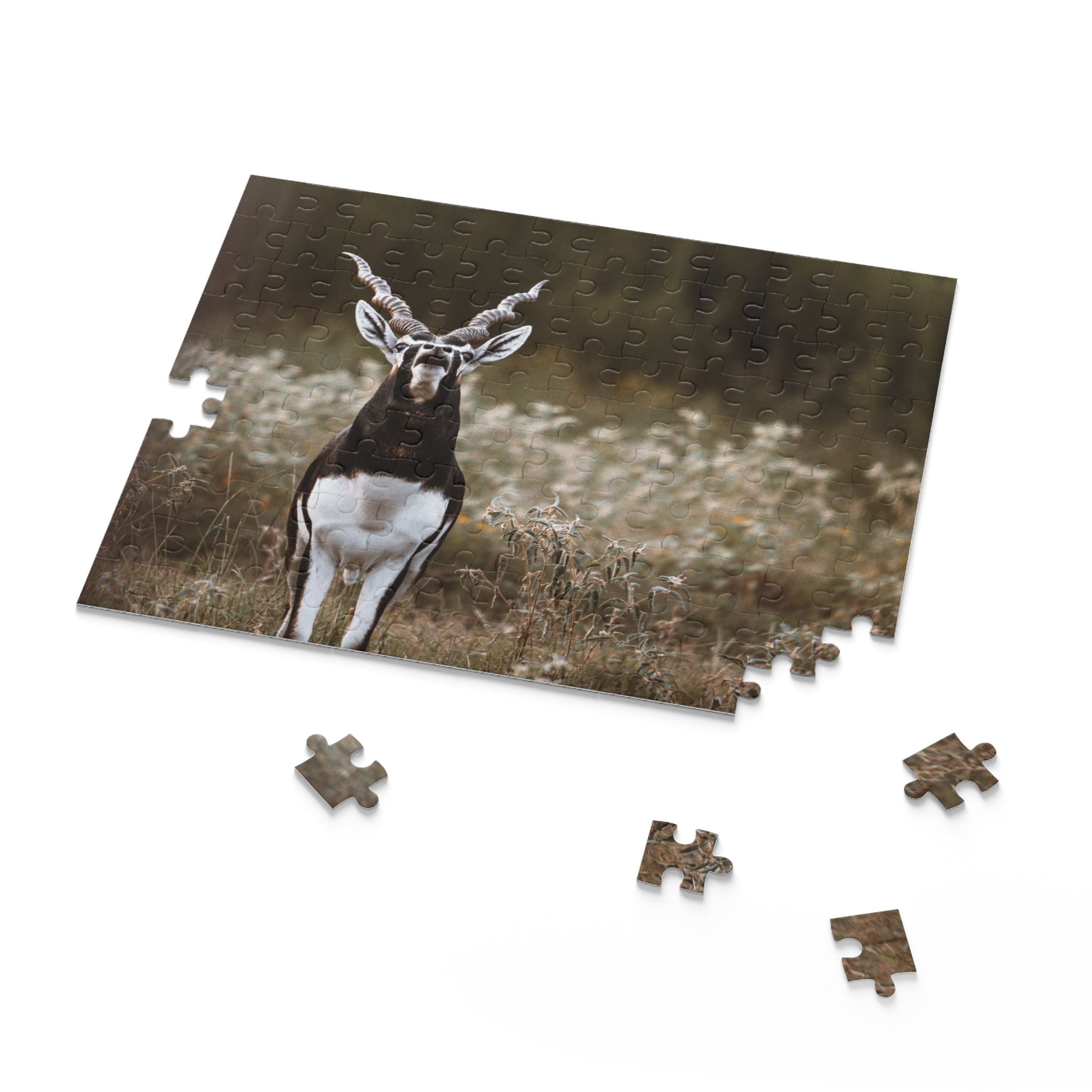 Copy of Puzzle (120, 252, 500-Piece)