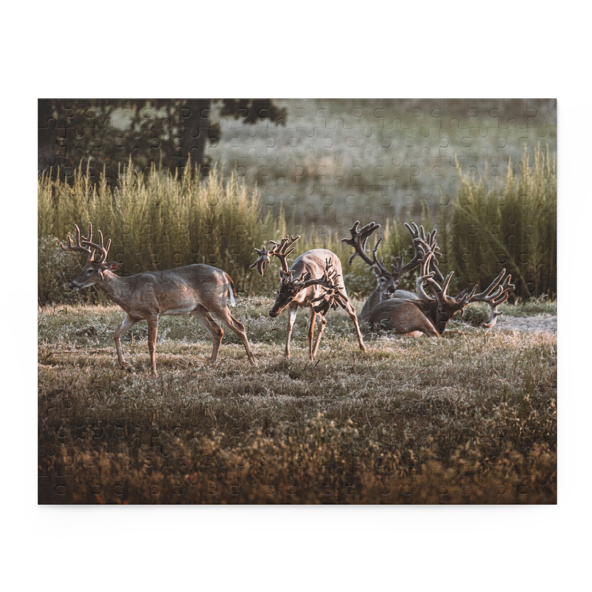 Monsters in a Meadow Puzzle (120, 252, 500-Piece)