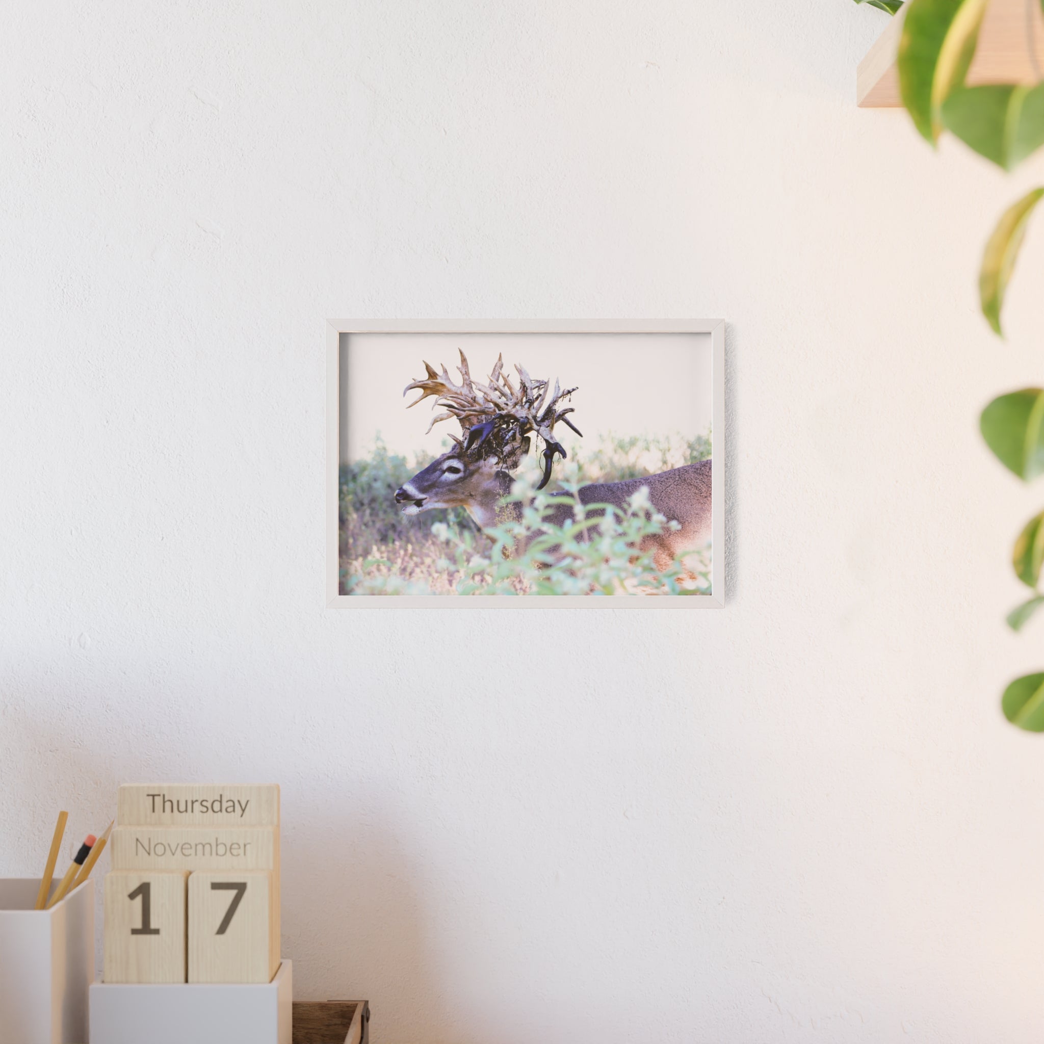 Framed Print of 'Freaknasty'