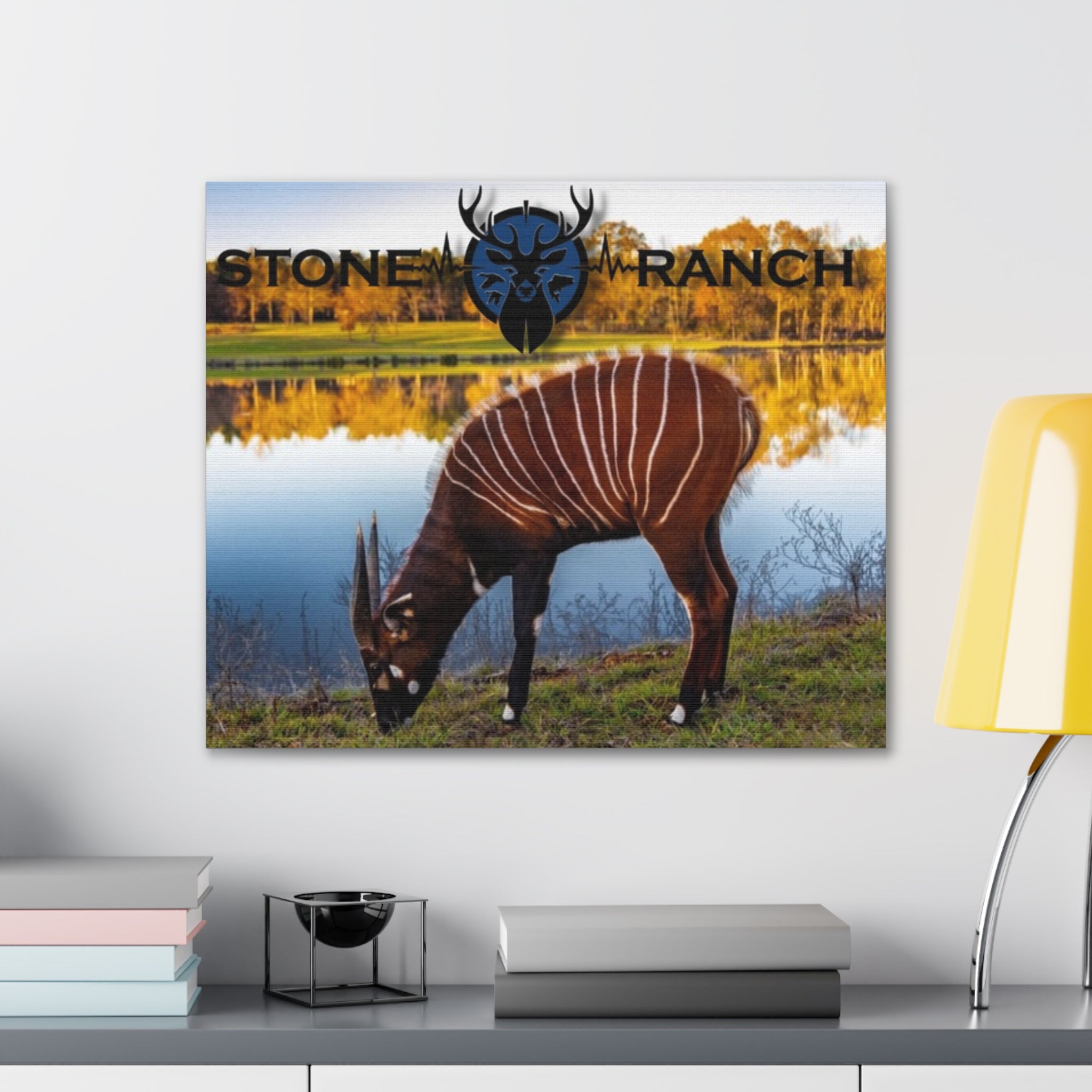 Canvas Photograph of Buc Buc the Bongo Antelope