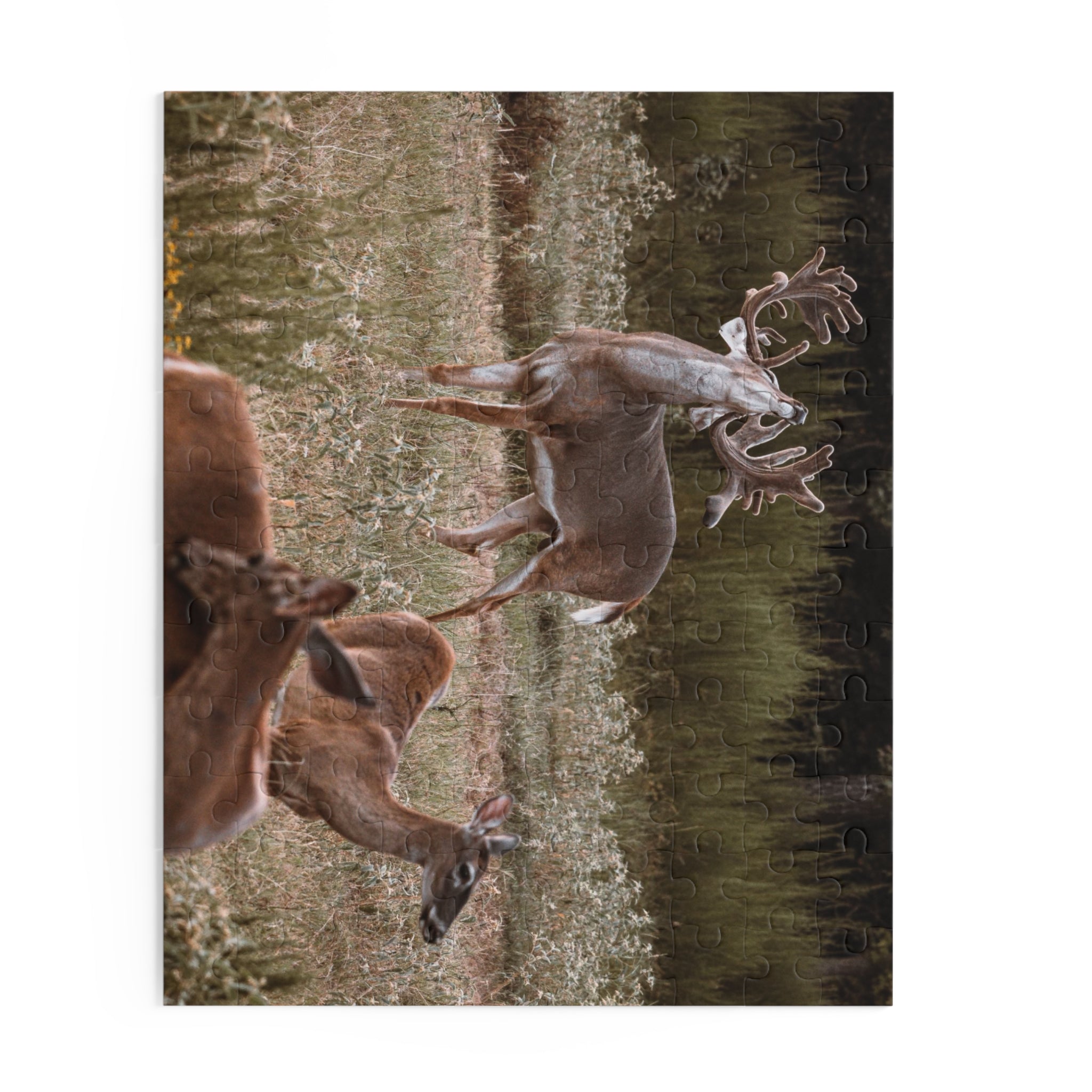 Puzzle (120, 252, 500-Piece)