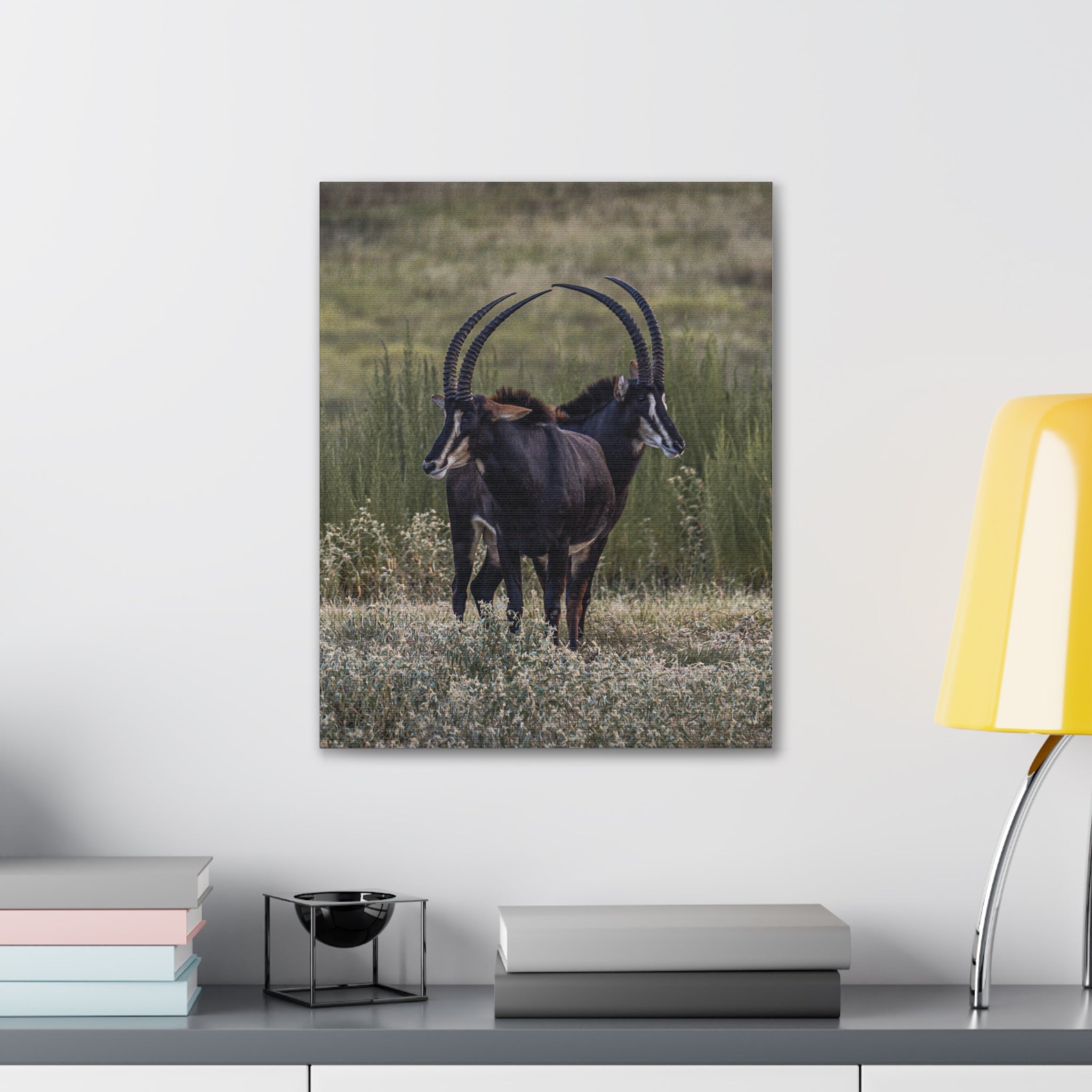 Canvas print of Sables Heart