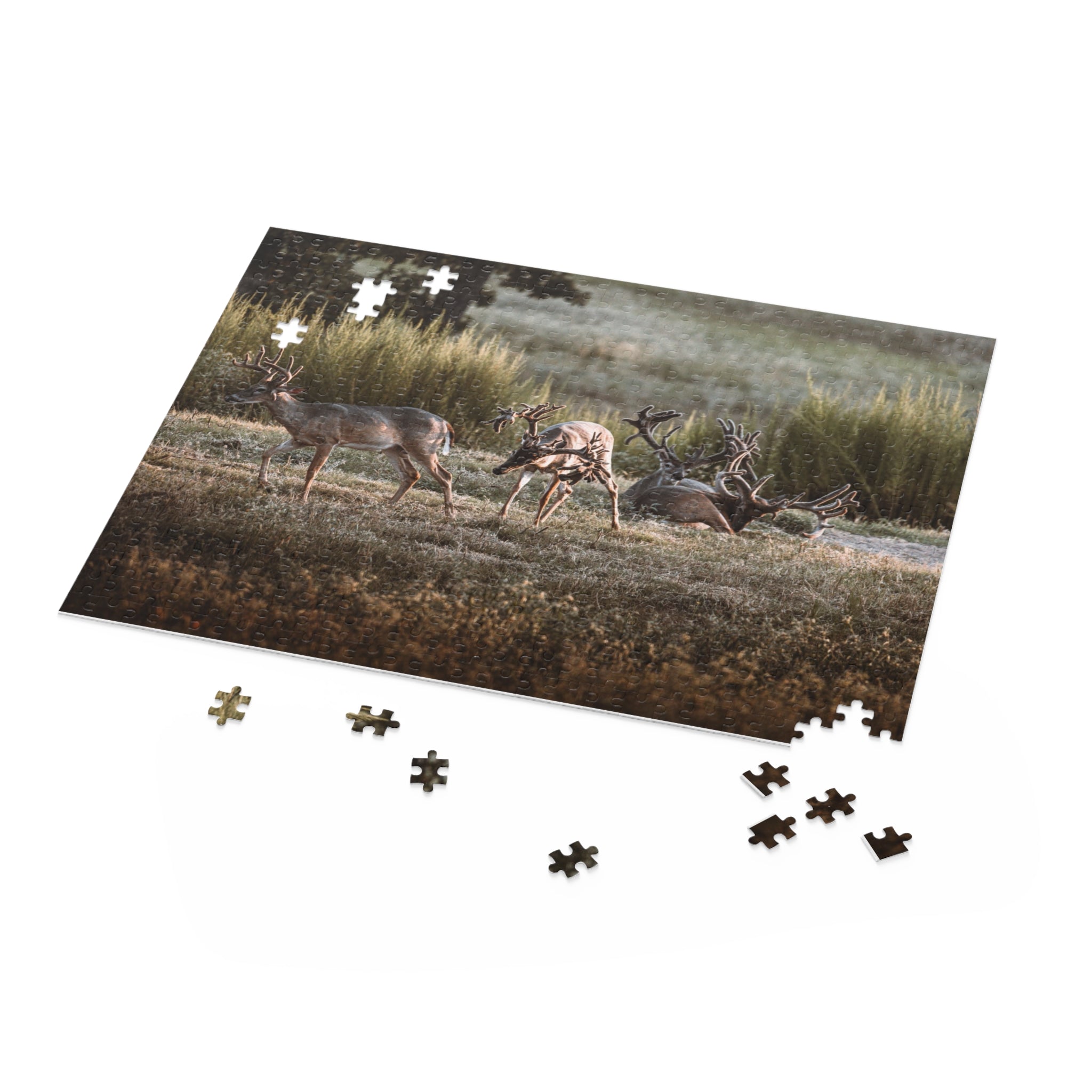 Puzzle of Monsters in a Meadow