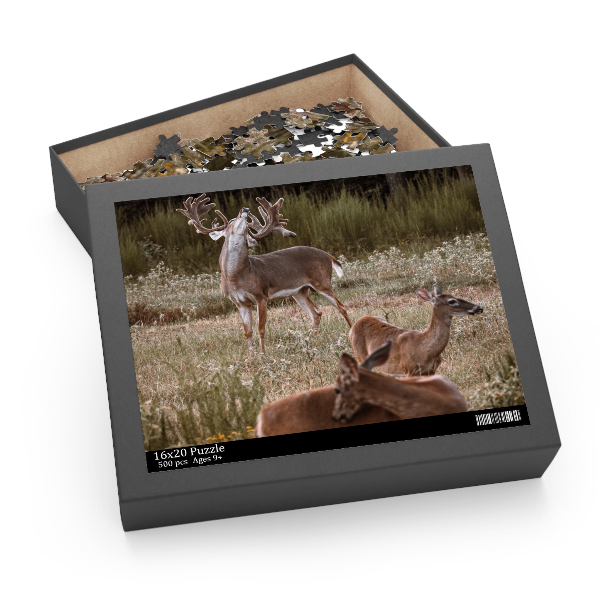 Puzzle of Majestic Buck with Whitetail Does