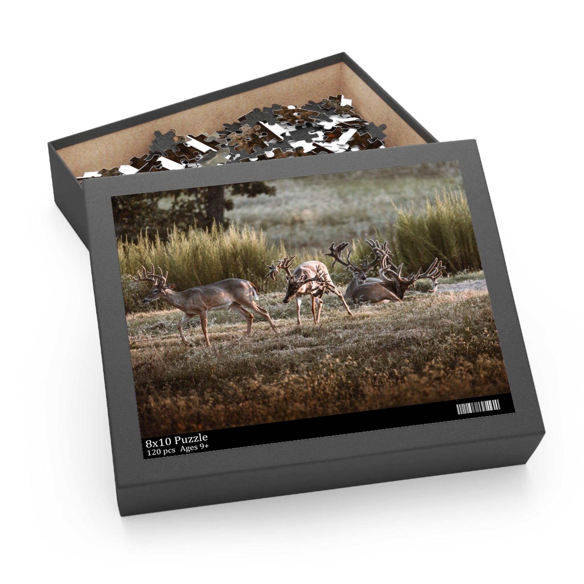 Puzzle of Monsters in a Meadow