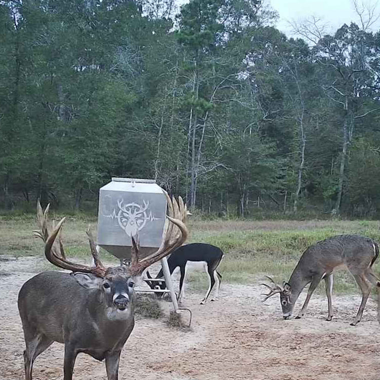 650 lb. Aluminum Feeder – Reliable and Efficient Feeding Solution