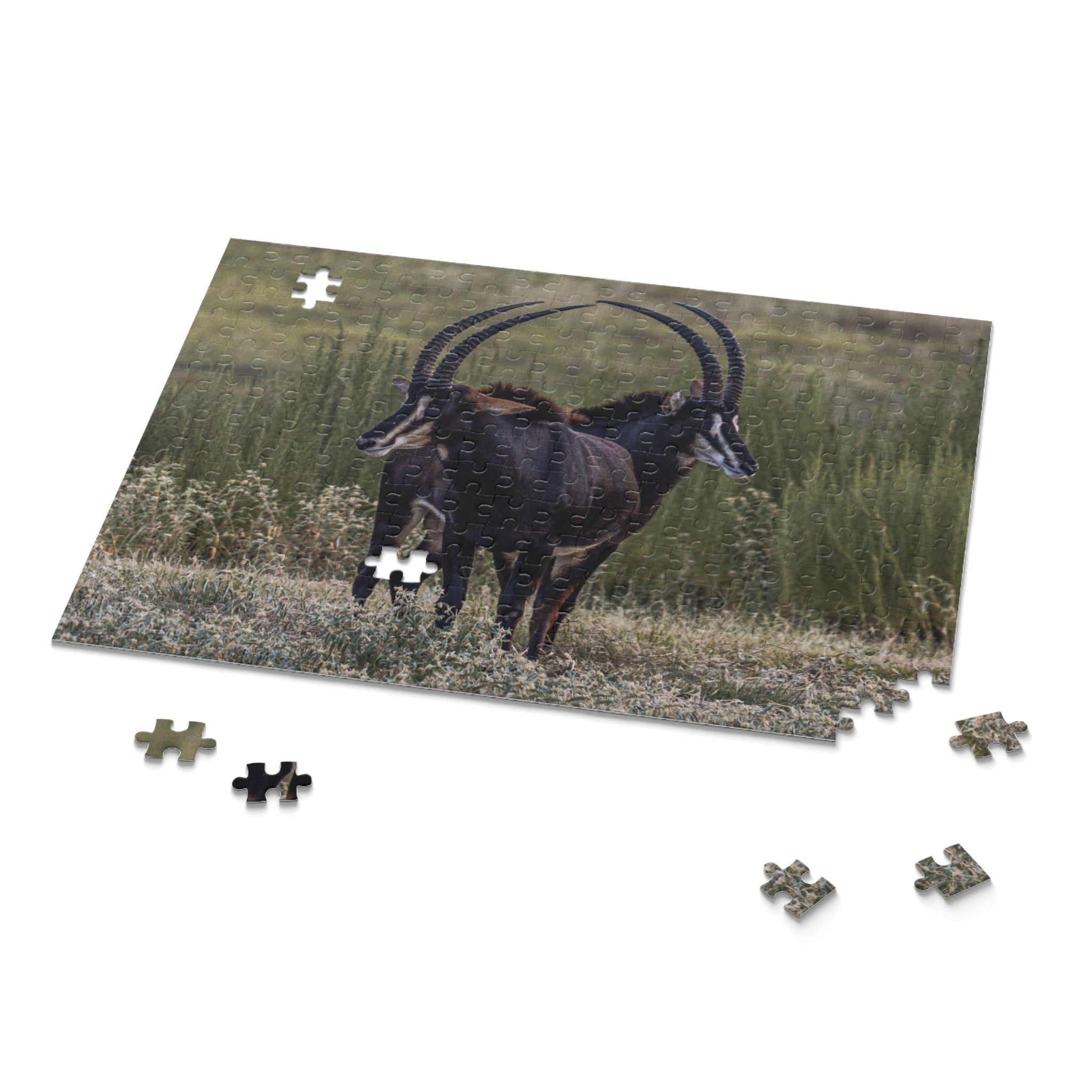 Copy of Puzzle (120, 252, 500-Piece)