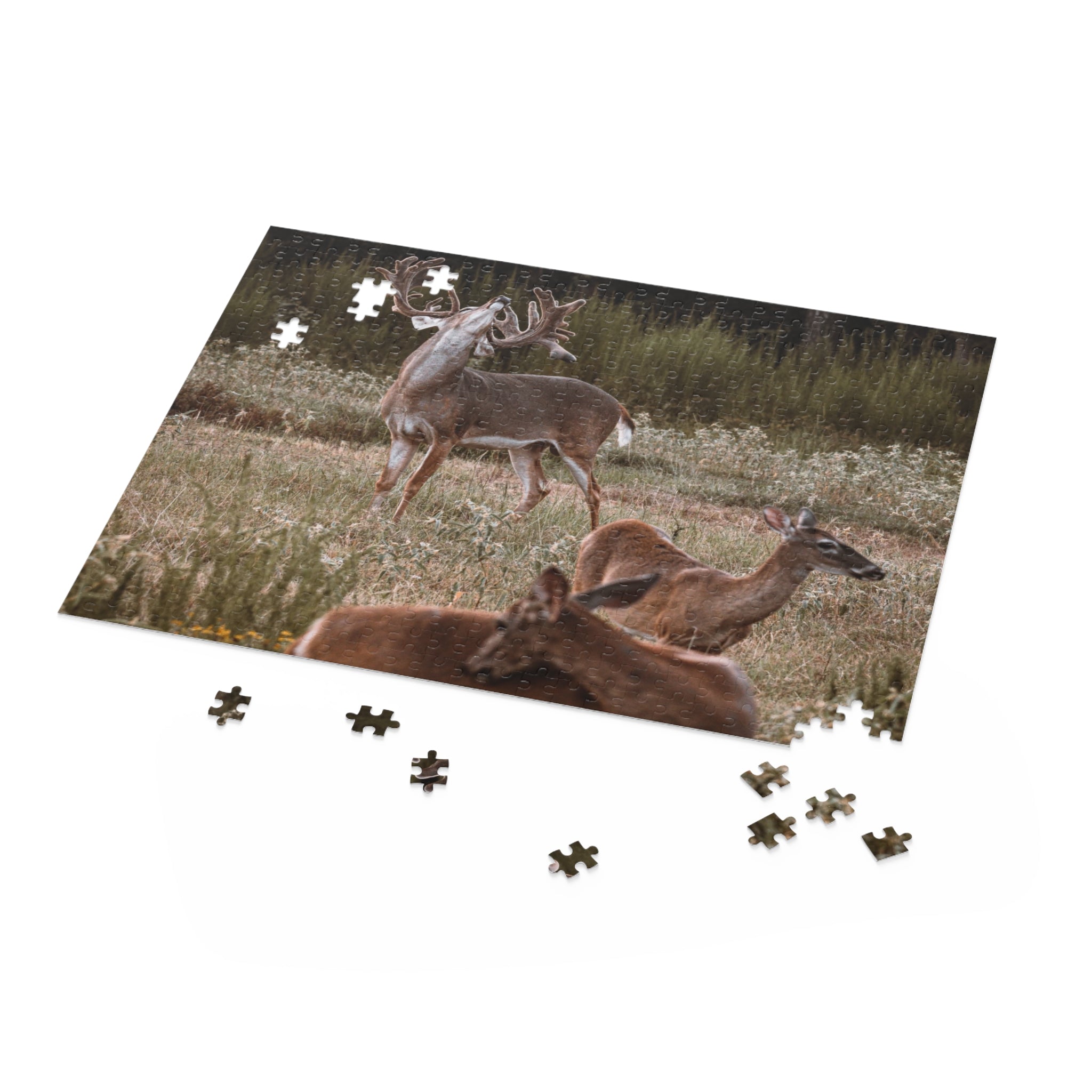 Puzzle of Majestic Buck with Whitetail Does