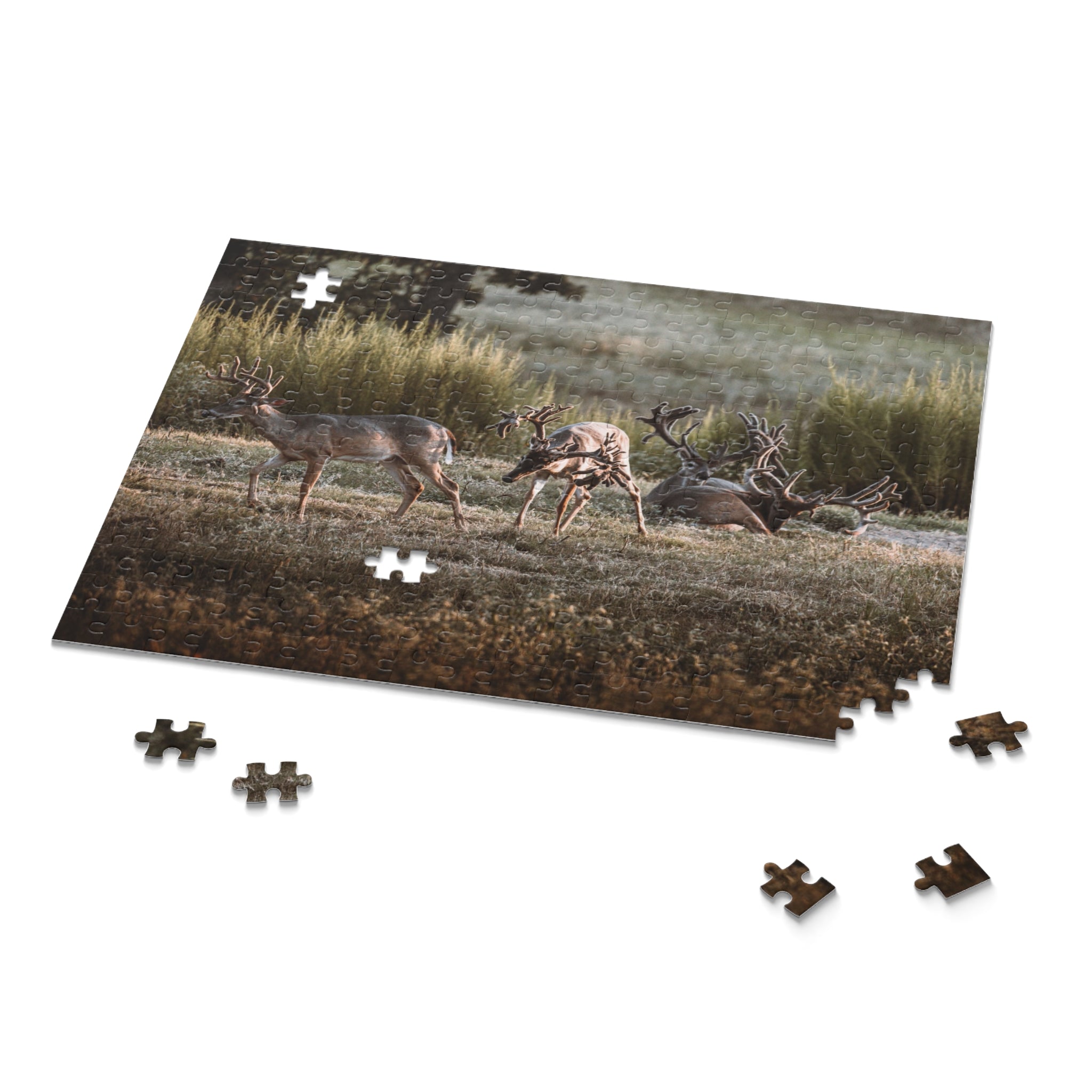 Monsters in a Meadow Puzzle (120, 252, 500-Piece)