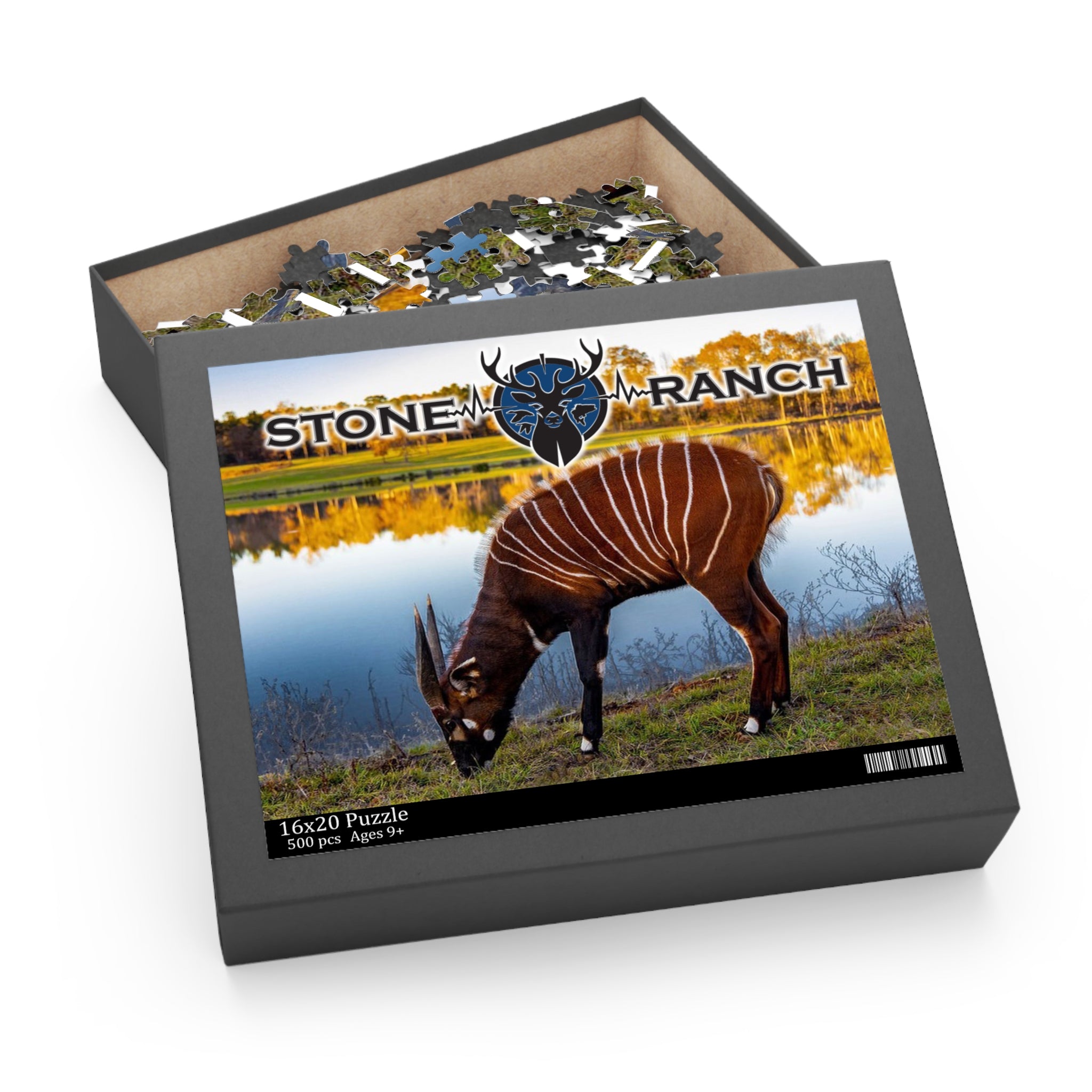 Puzzle of Stone Ranch