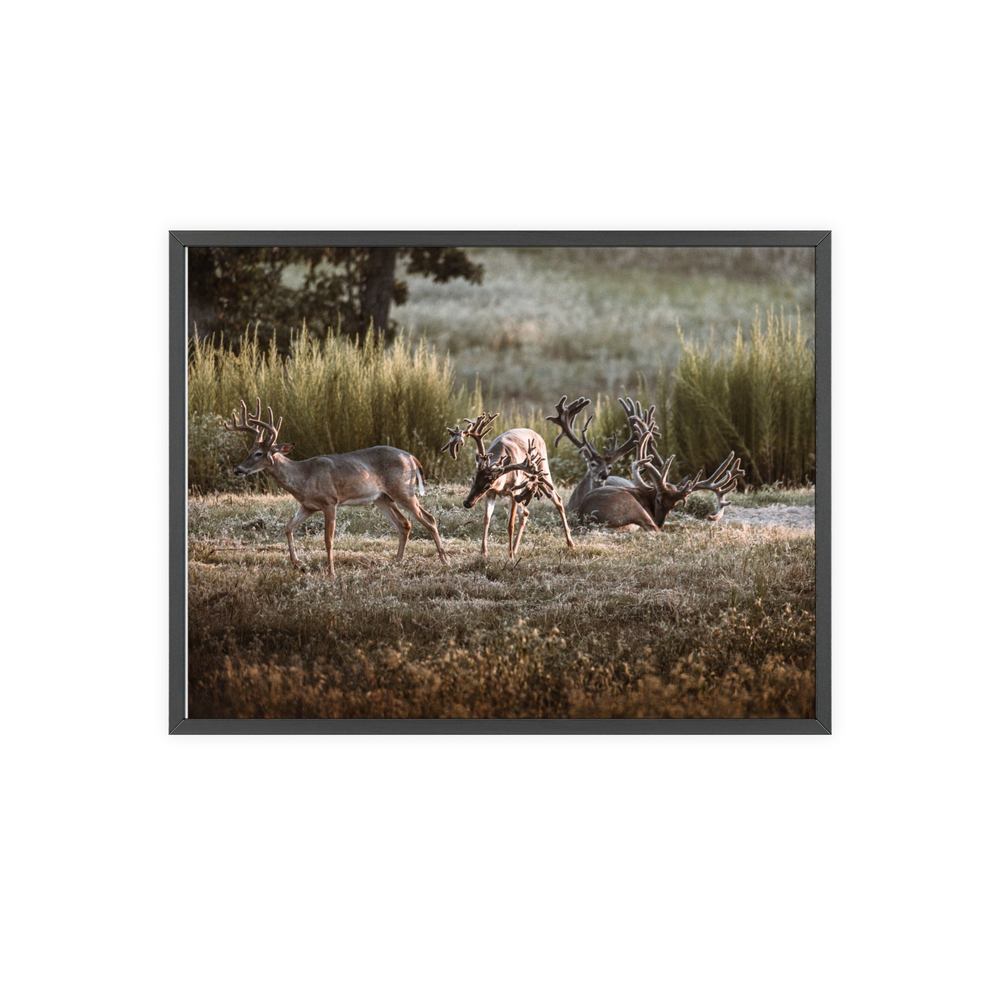 Framed print of Monsters in a Meadow