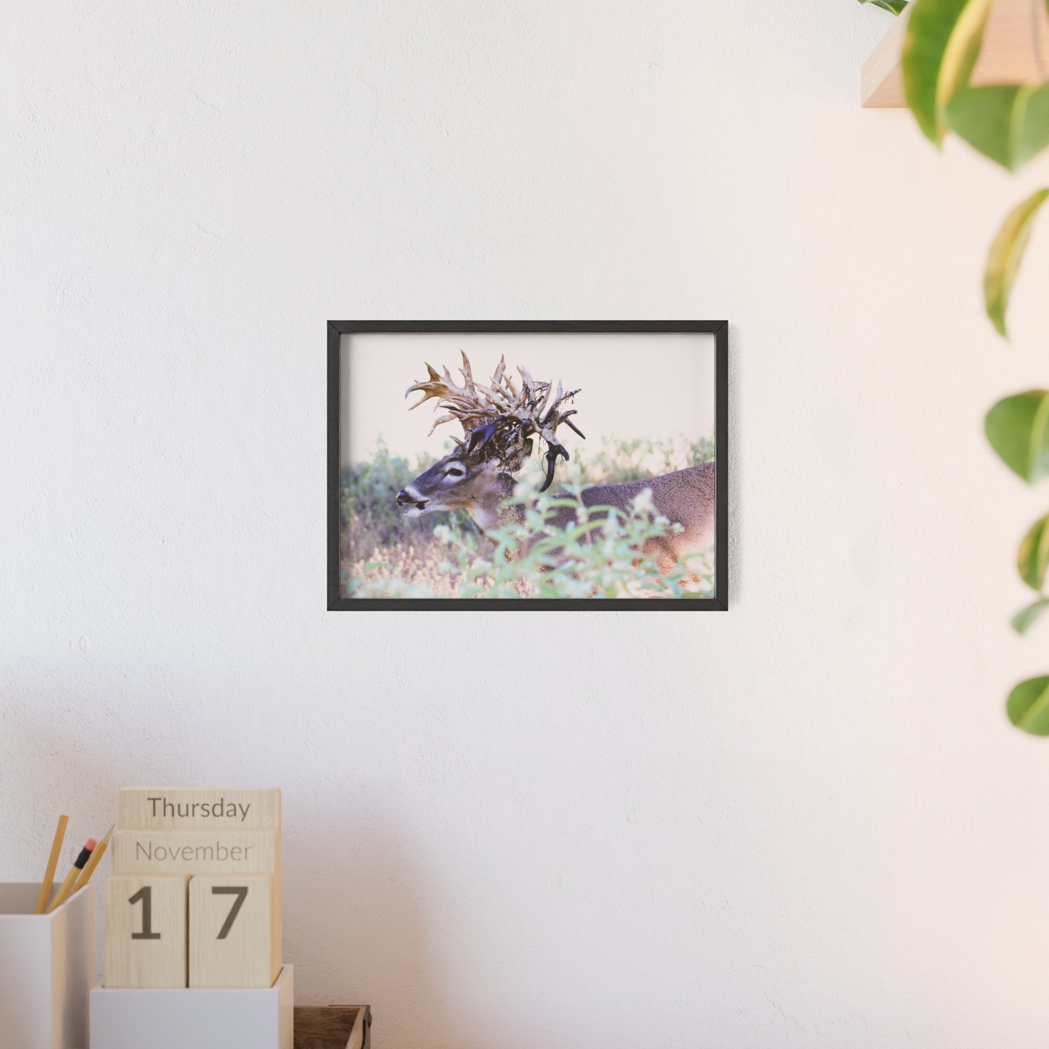 Framed Print of 'Freaknasty'