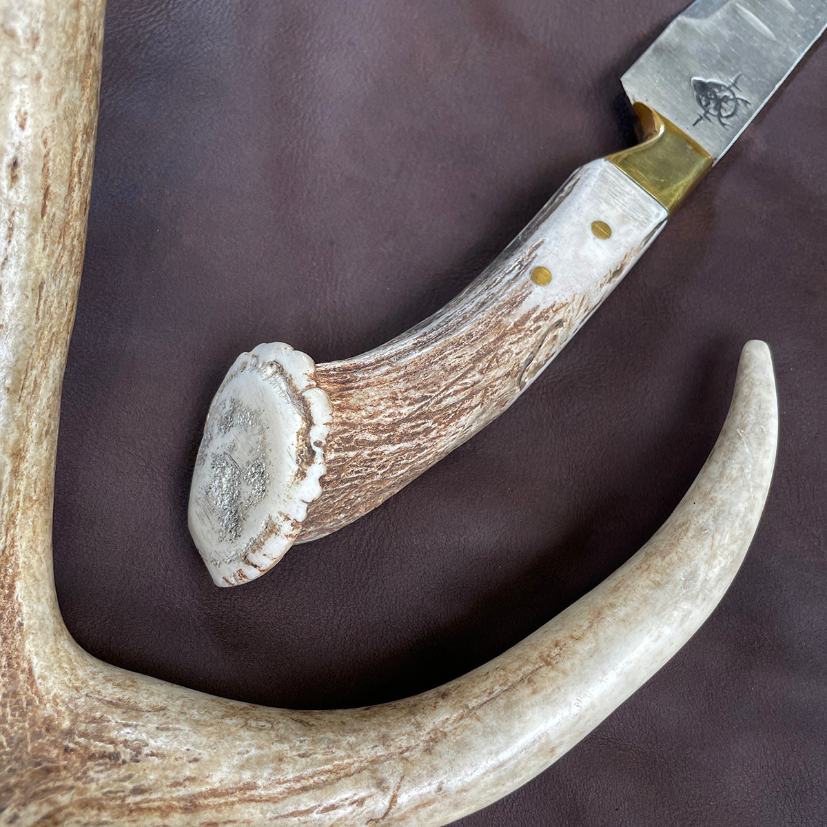 Heartbeat of a Hunter Brisket Knife – Precision and Elegance for Every Cut