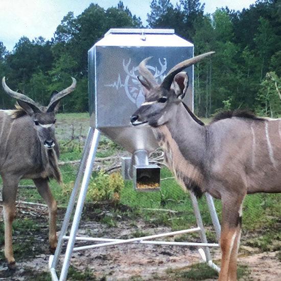650 lb. Aluminum Feeder – Reliable and Efficient Feeding Solution