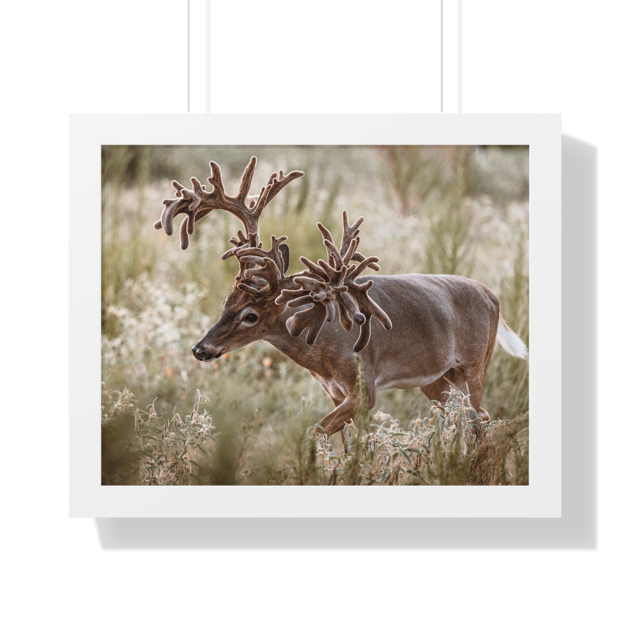 Framed print of Freaknasty