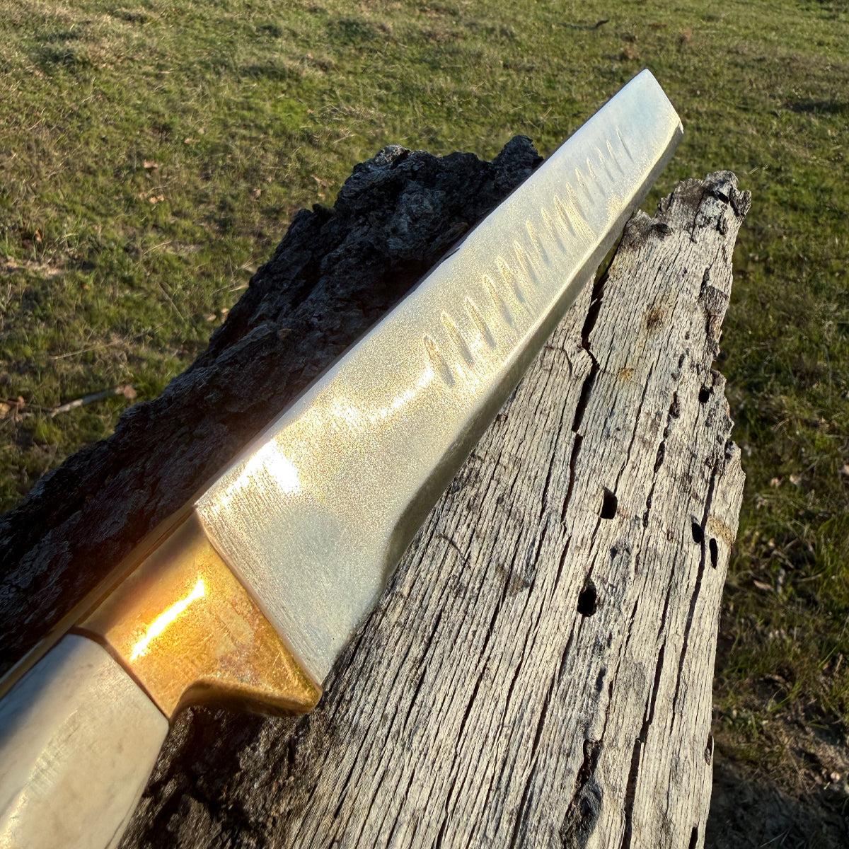 Heartbeat of a Hunter Brisket Knife – Precision and Elegance for Every Cut