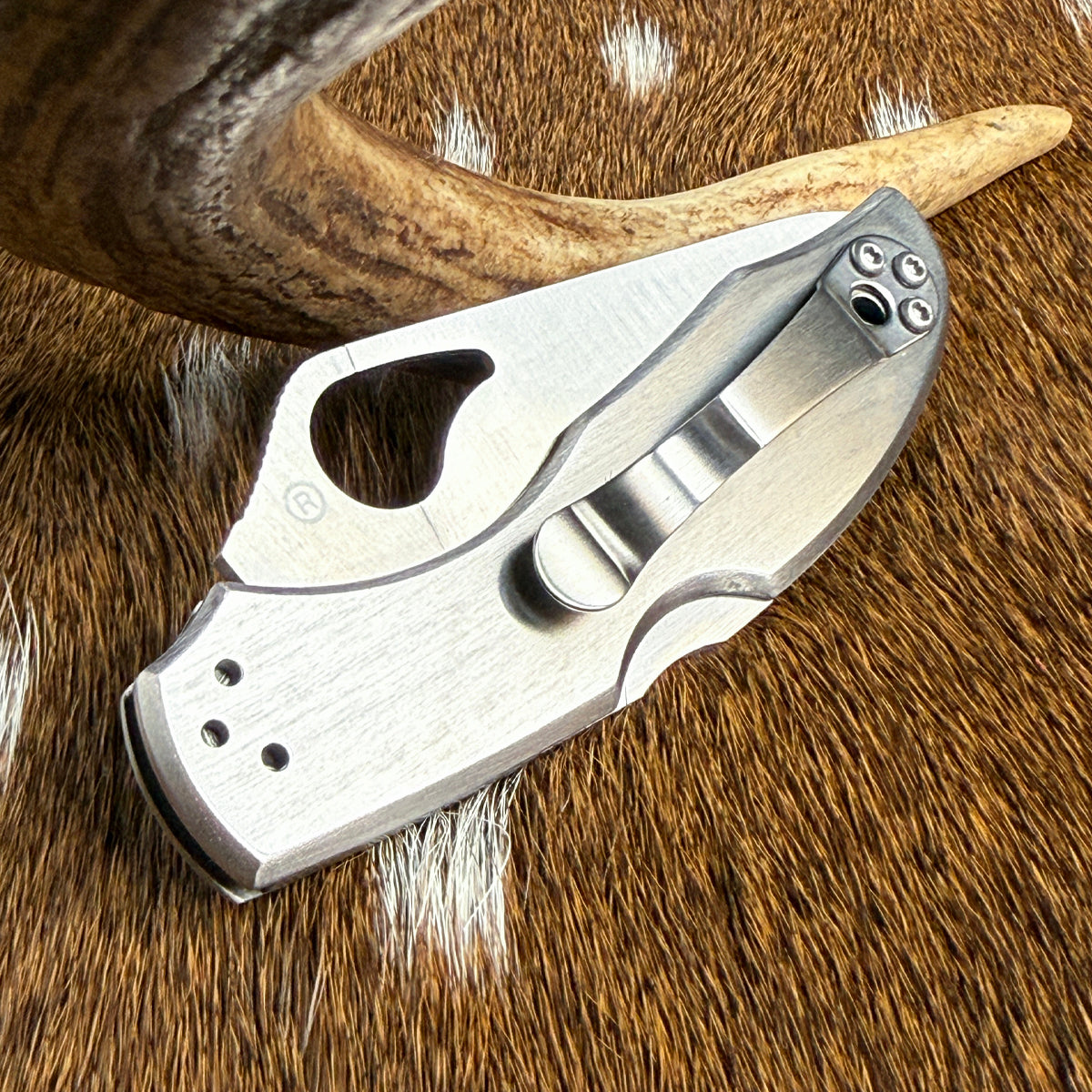 Hunting Is Life Byrd Pocket Knife – Everyday Reliability for the Outdoorsman