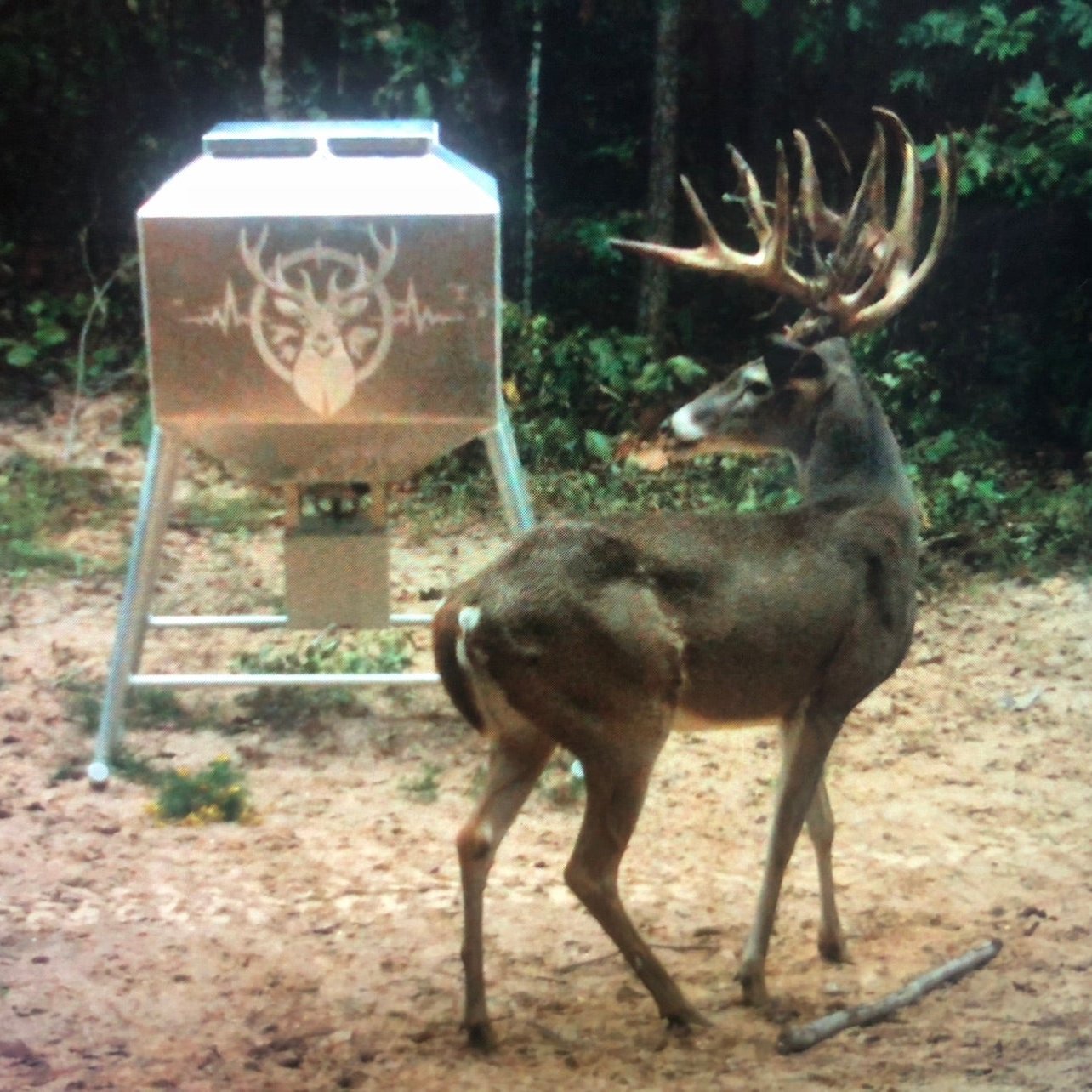 350 lb. Aluminum Feeder – Durable and Efficient Wildlife Feeding Solution