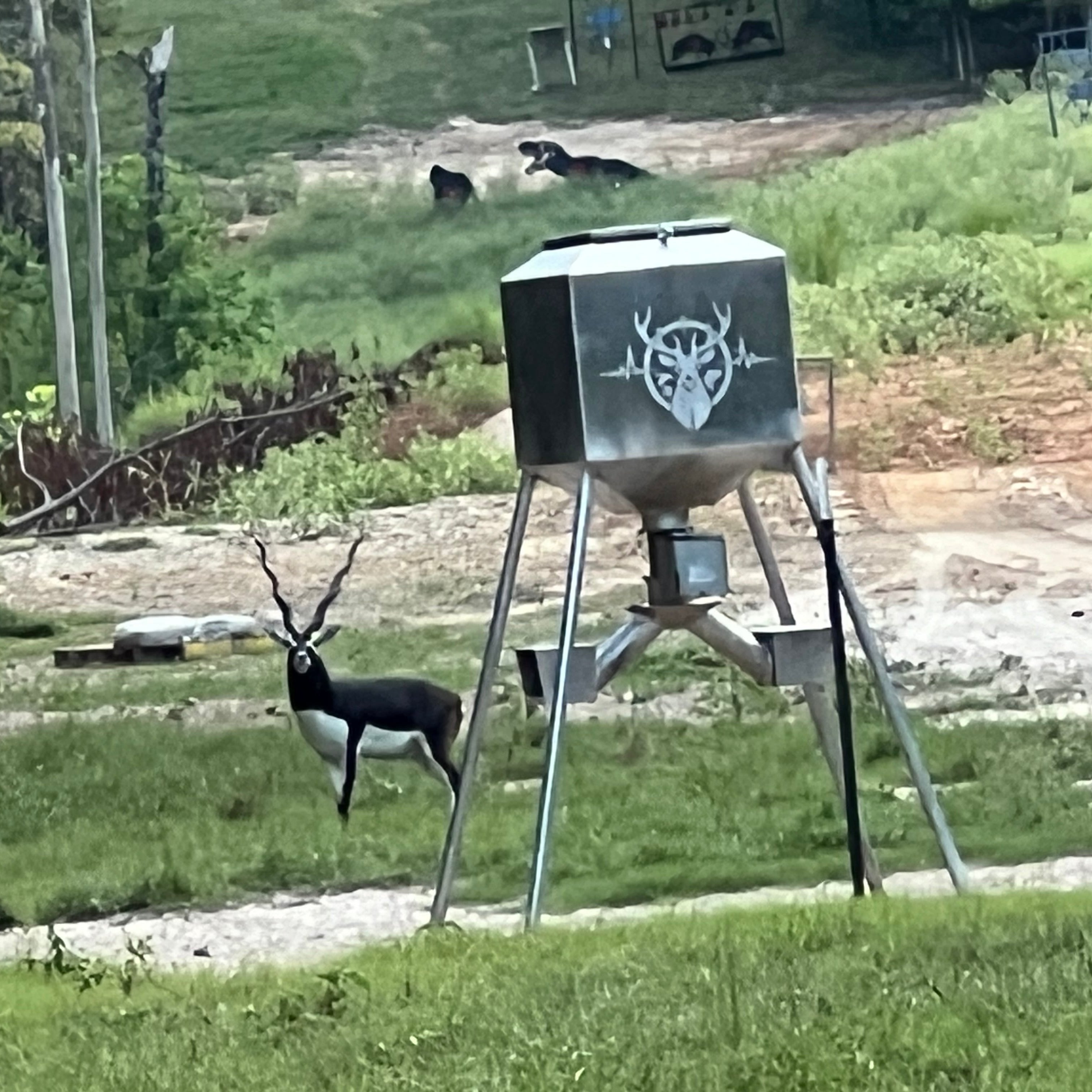 650 lb. Aluminum Feeder – Reliable and Efficient Feeding Solution