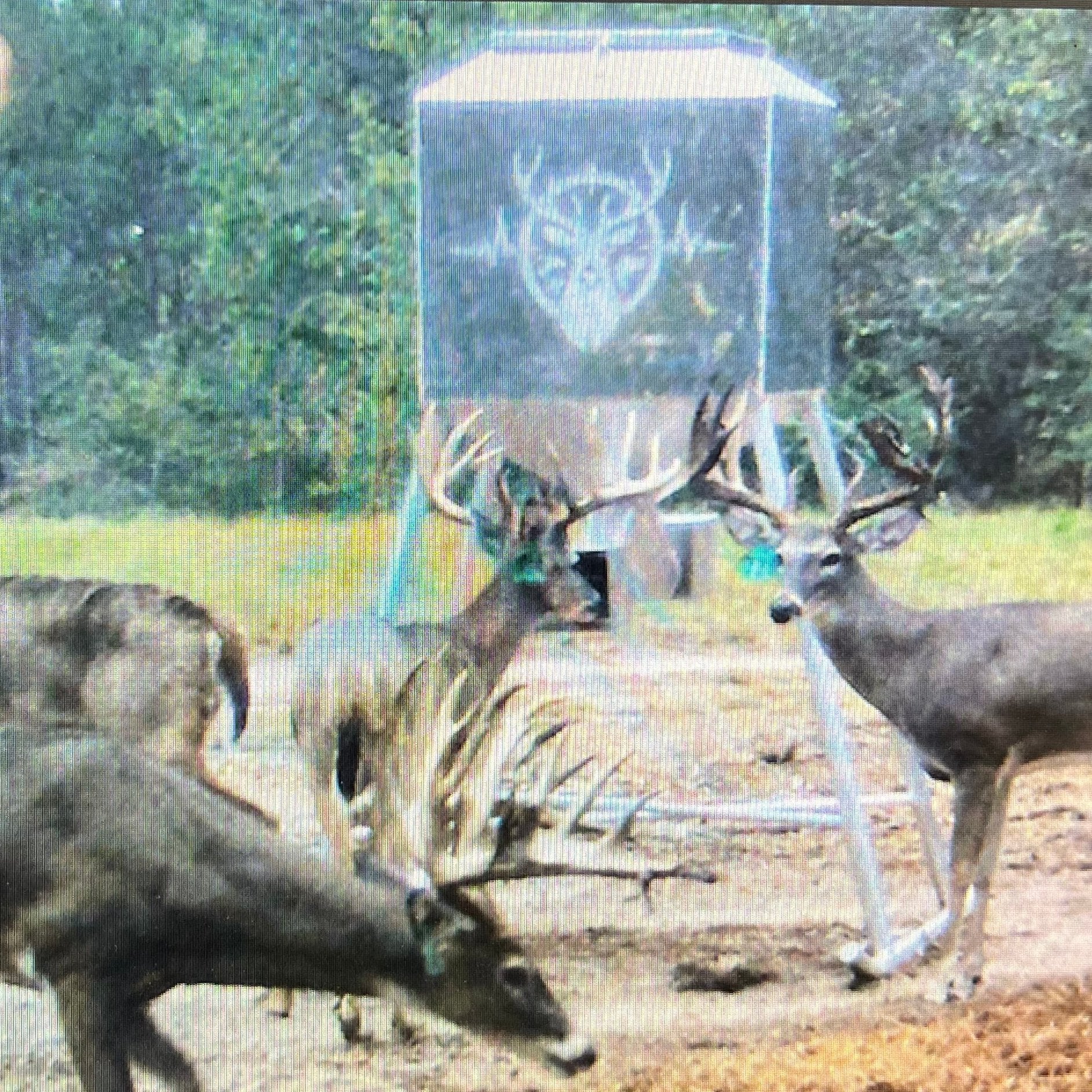 650 lb. Aluminum Feeder – Reliable and Efficient Feeding Solution