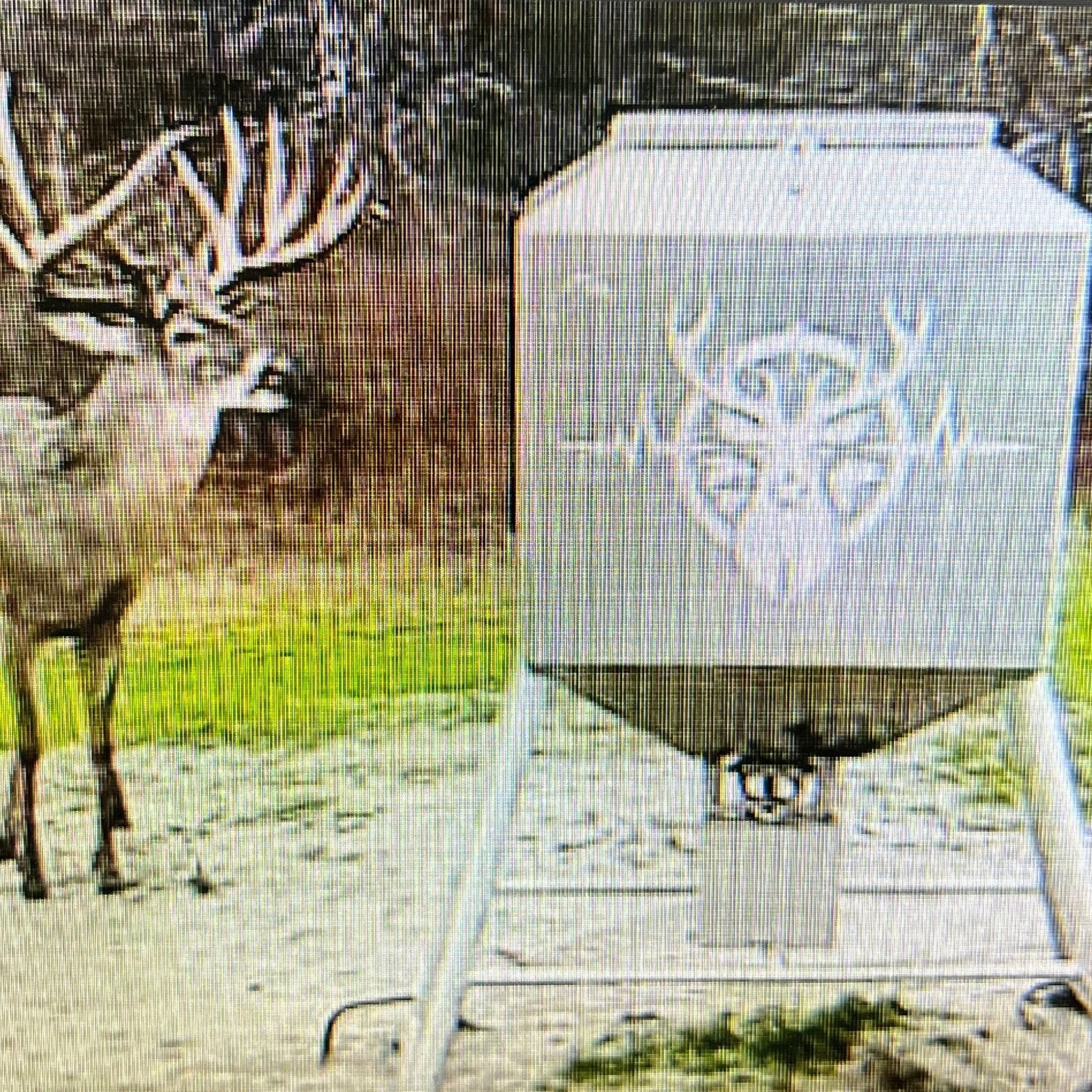 650 lb. Aluminum Feeder – Reliable and Efficient Feeding Solution