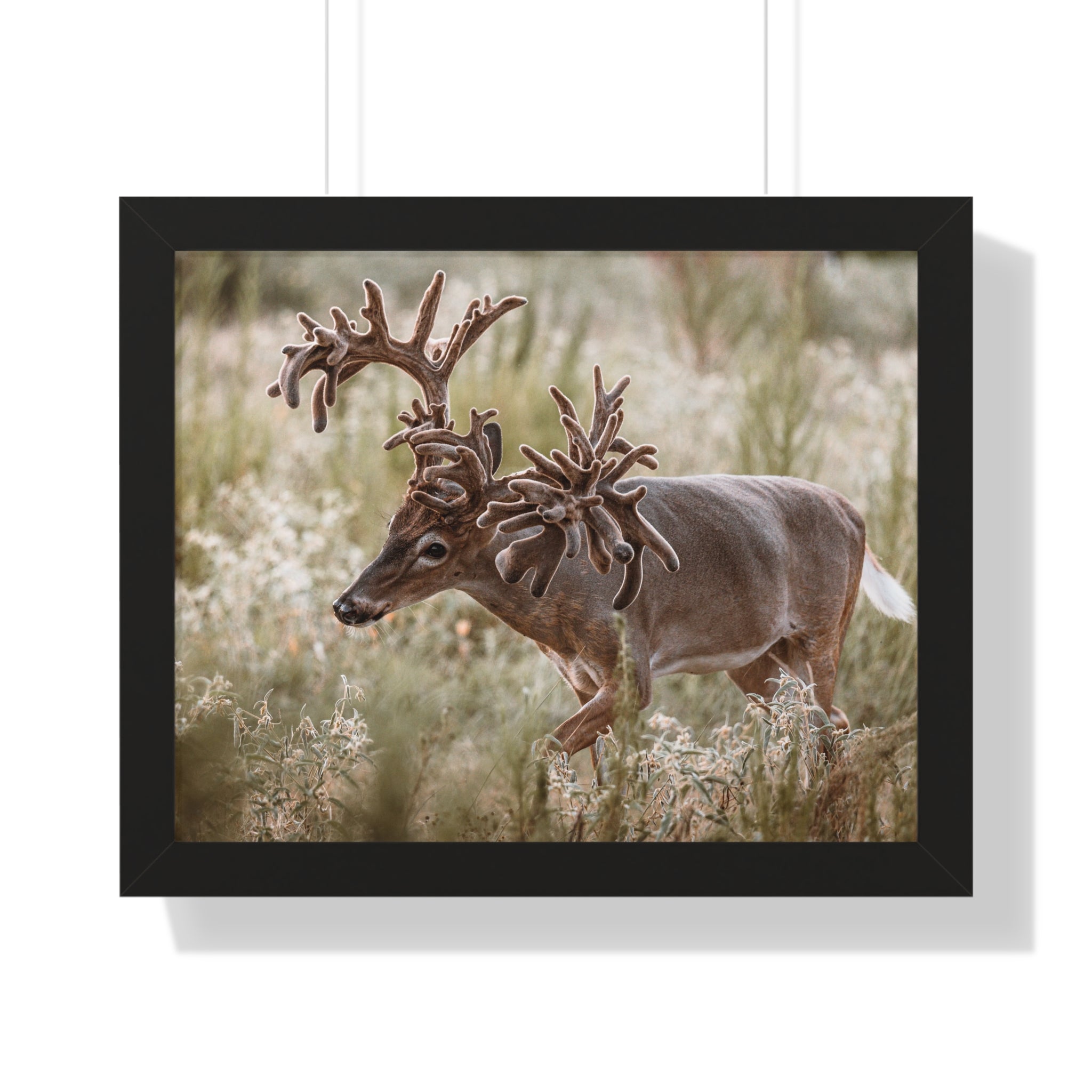 Framed print of Freaknasty