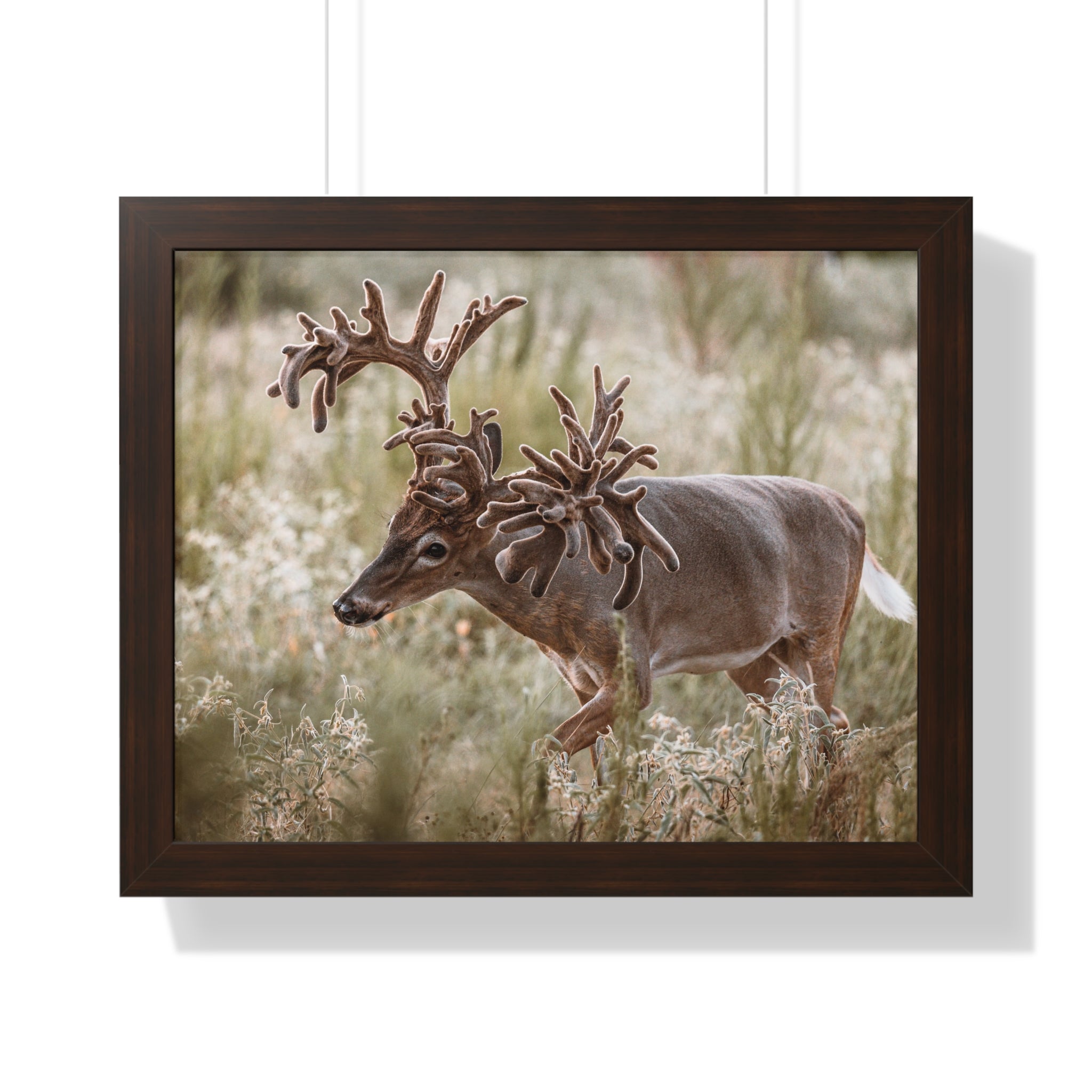 Framed print of Freaknasty